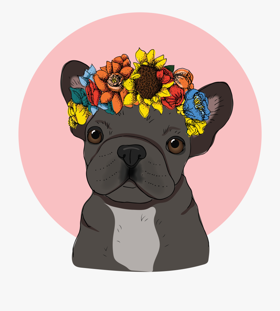 french #bulldog With #floral #crown Bulldog Wallpaper
