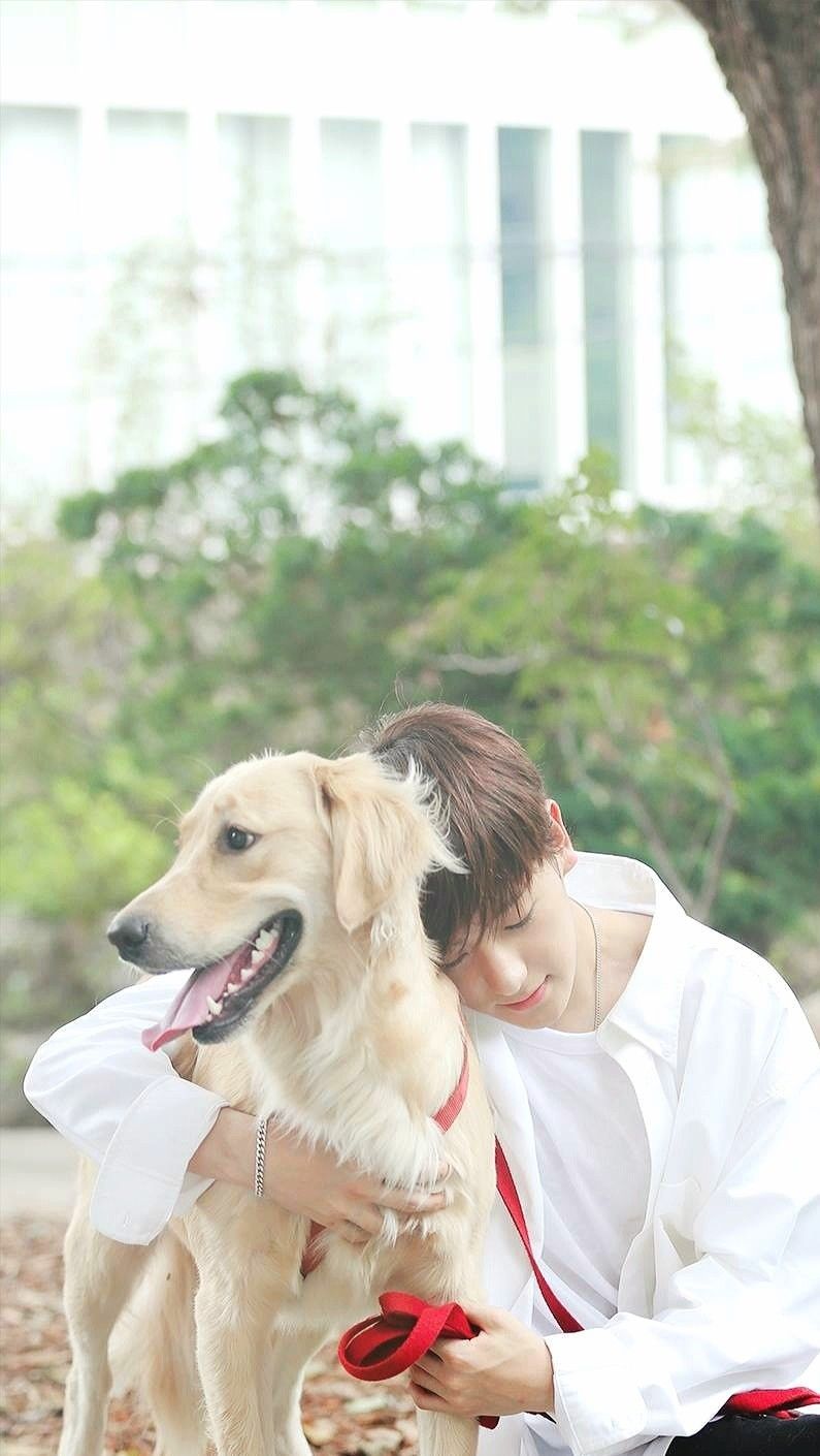 The Boyz Wallpaper #kpop