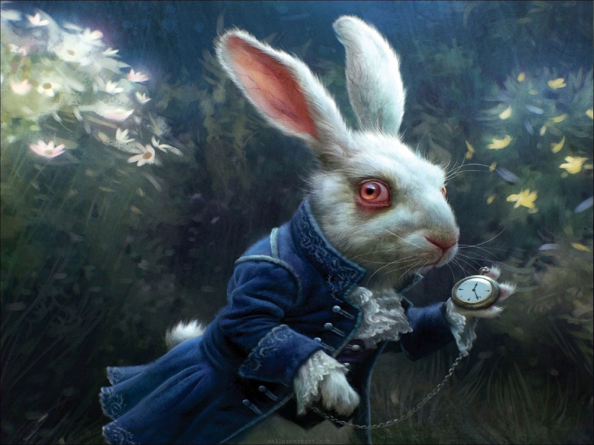 Alice In Wonderland White Rabbit Wallpaper Rabbit Alice