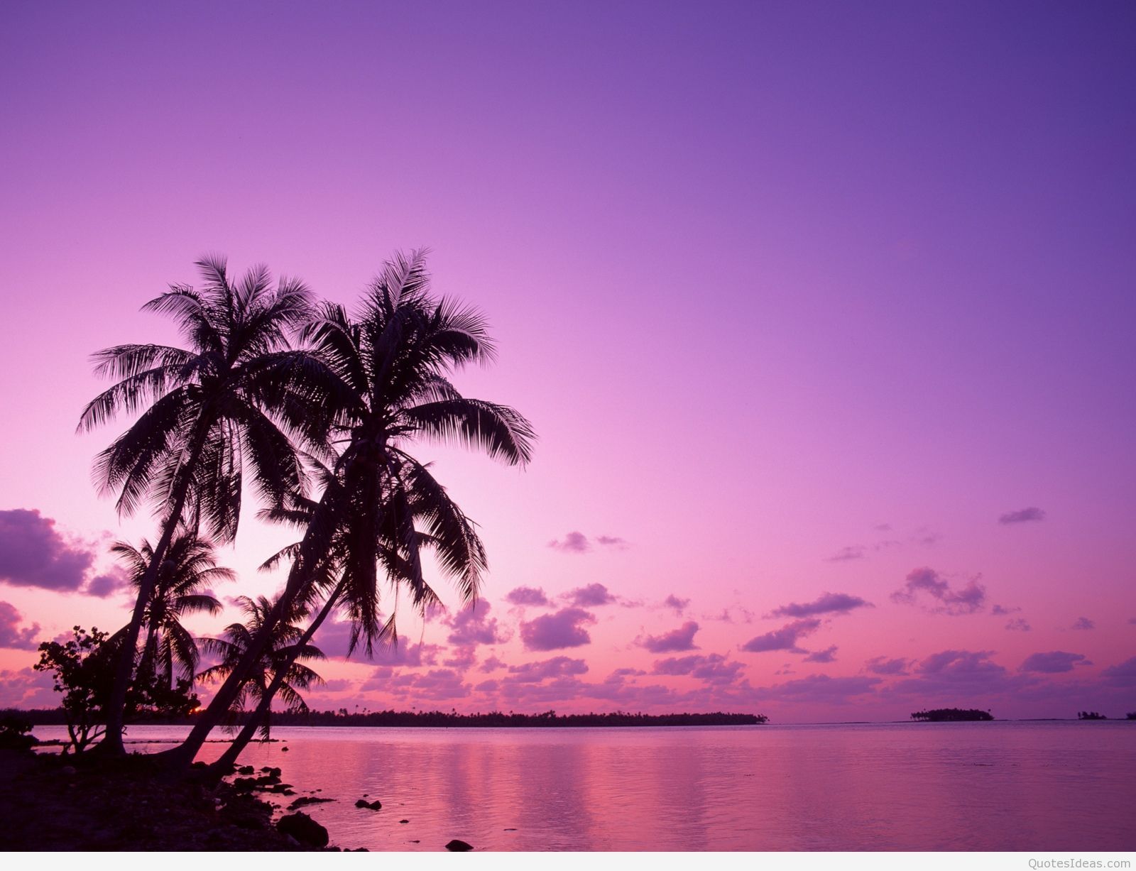 Summer Sunset Wallpaper HD