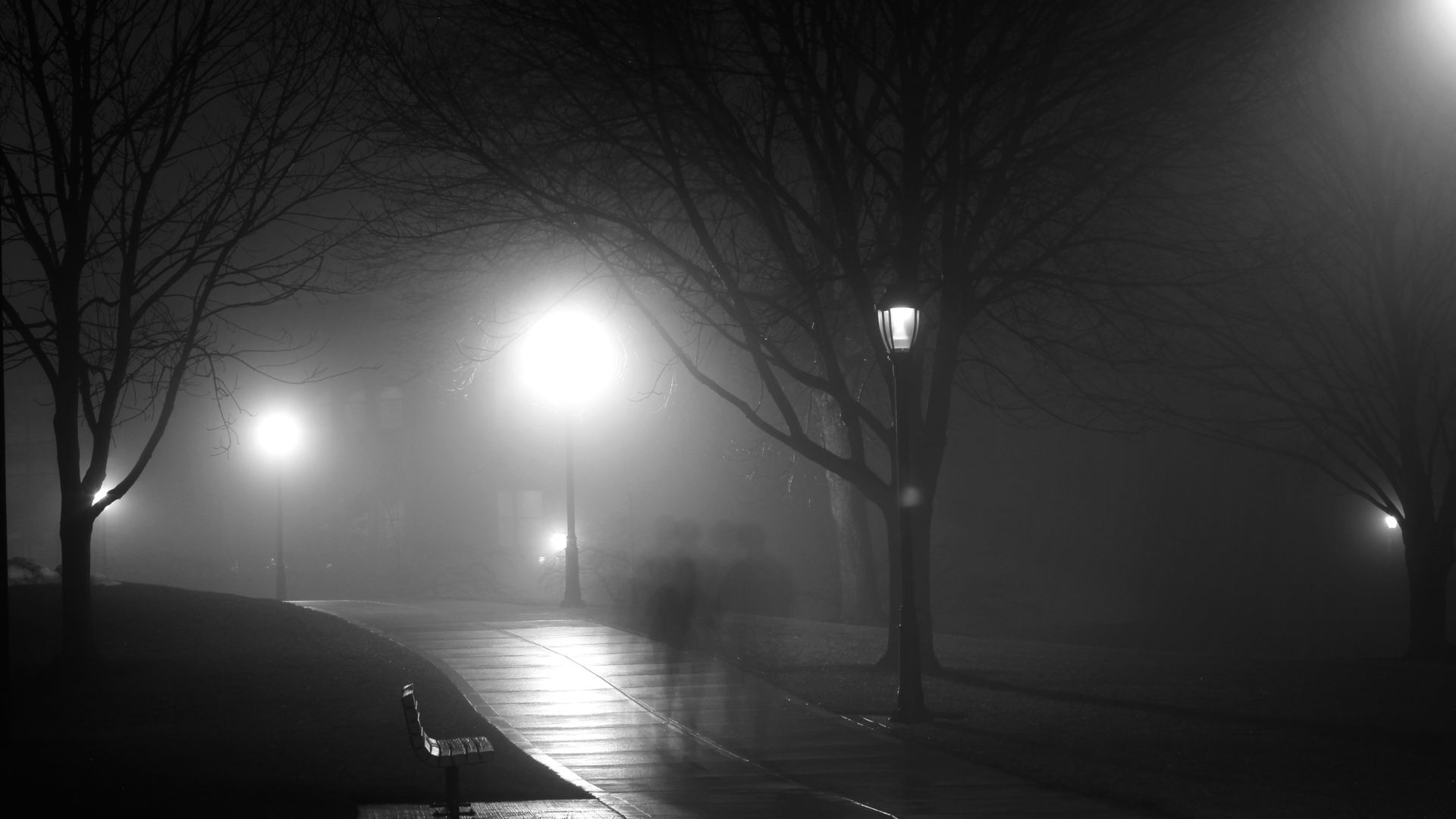 Ghost Night Park Street Black And White View Free Wallpaper HQ