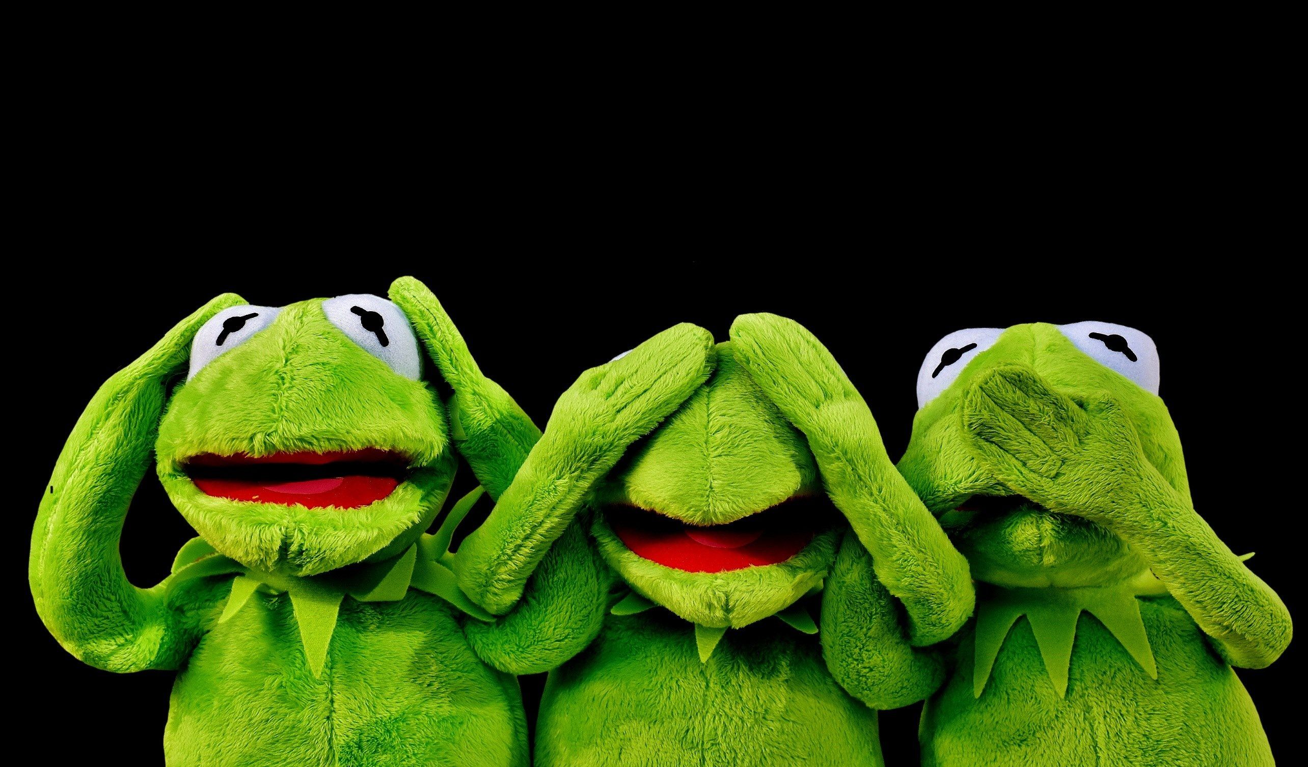 not hear #not see #do not speak #funny #kermit #frog wallpaper