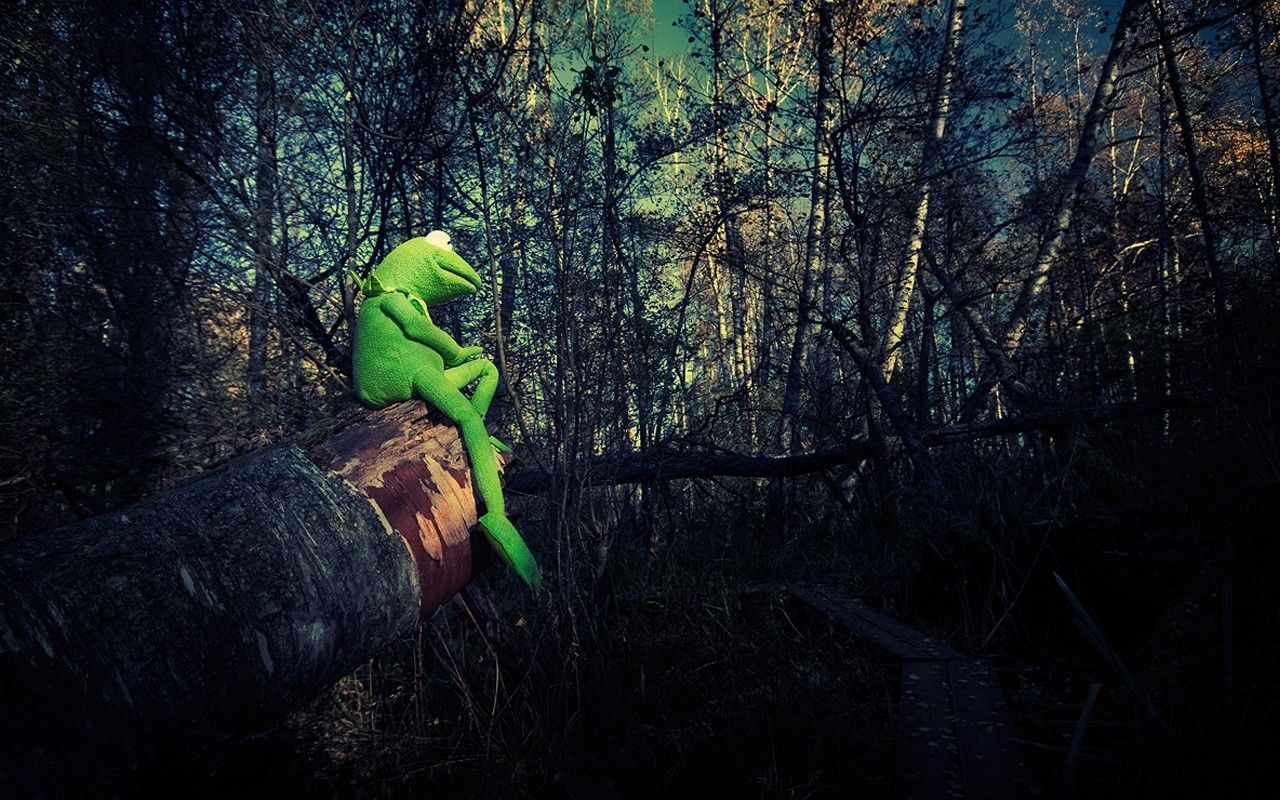 philosophy kermit the frog 1280x800 wallpaper High Quality
