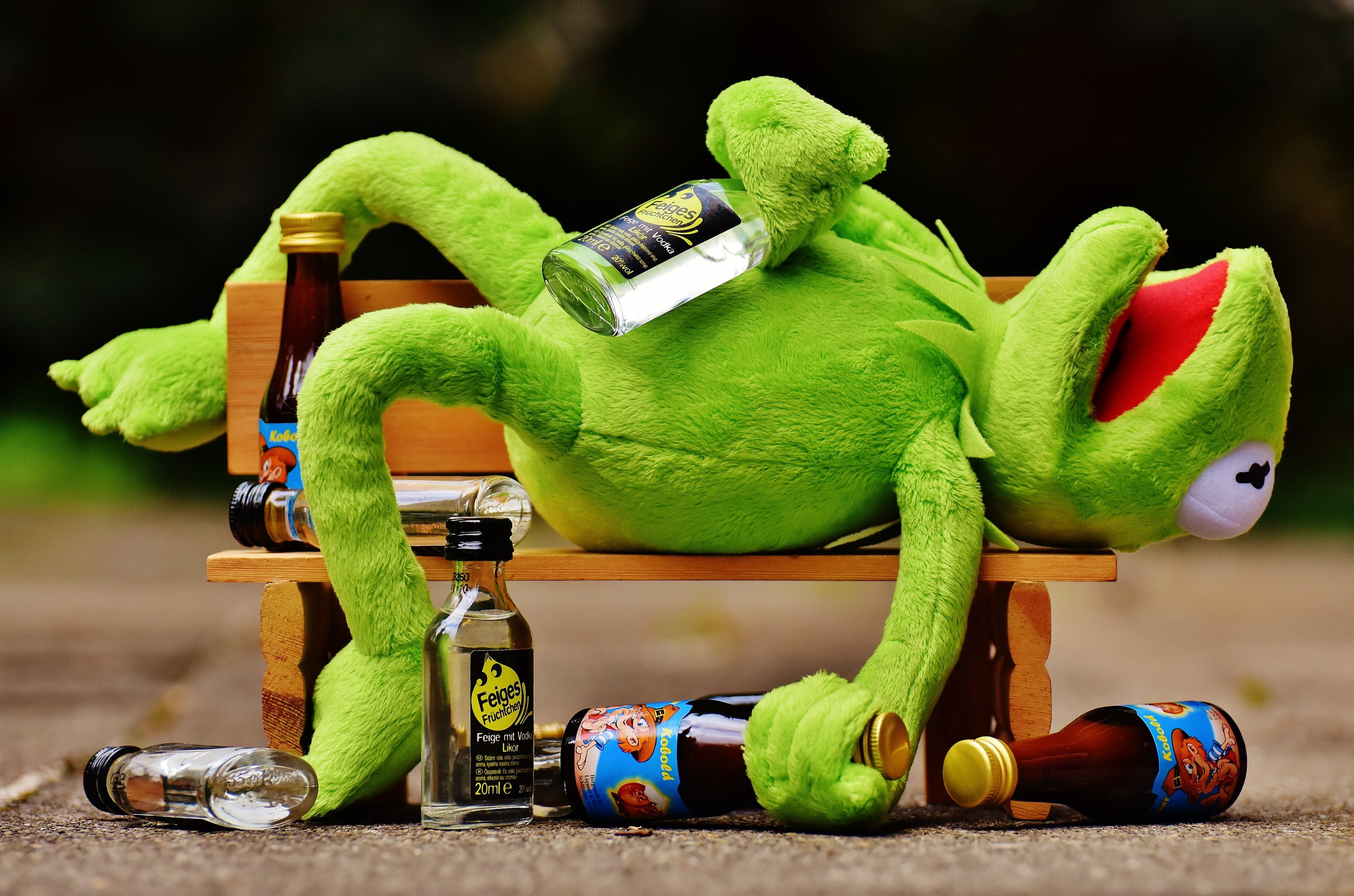 kermit #frog #drink #alcohol #drunk #bank #rest #sit 4k wallpaper