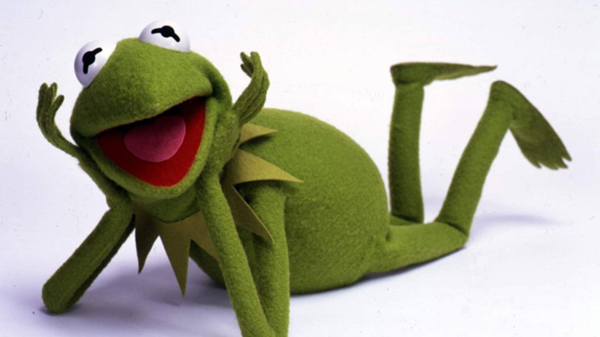 Kermit The Frog The Muppet Show Frogs Wallpaper Desktop Background