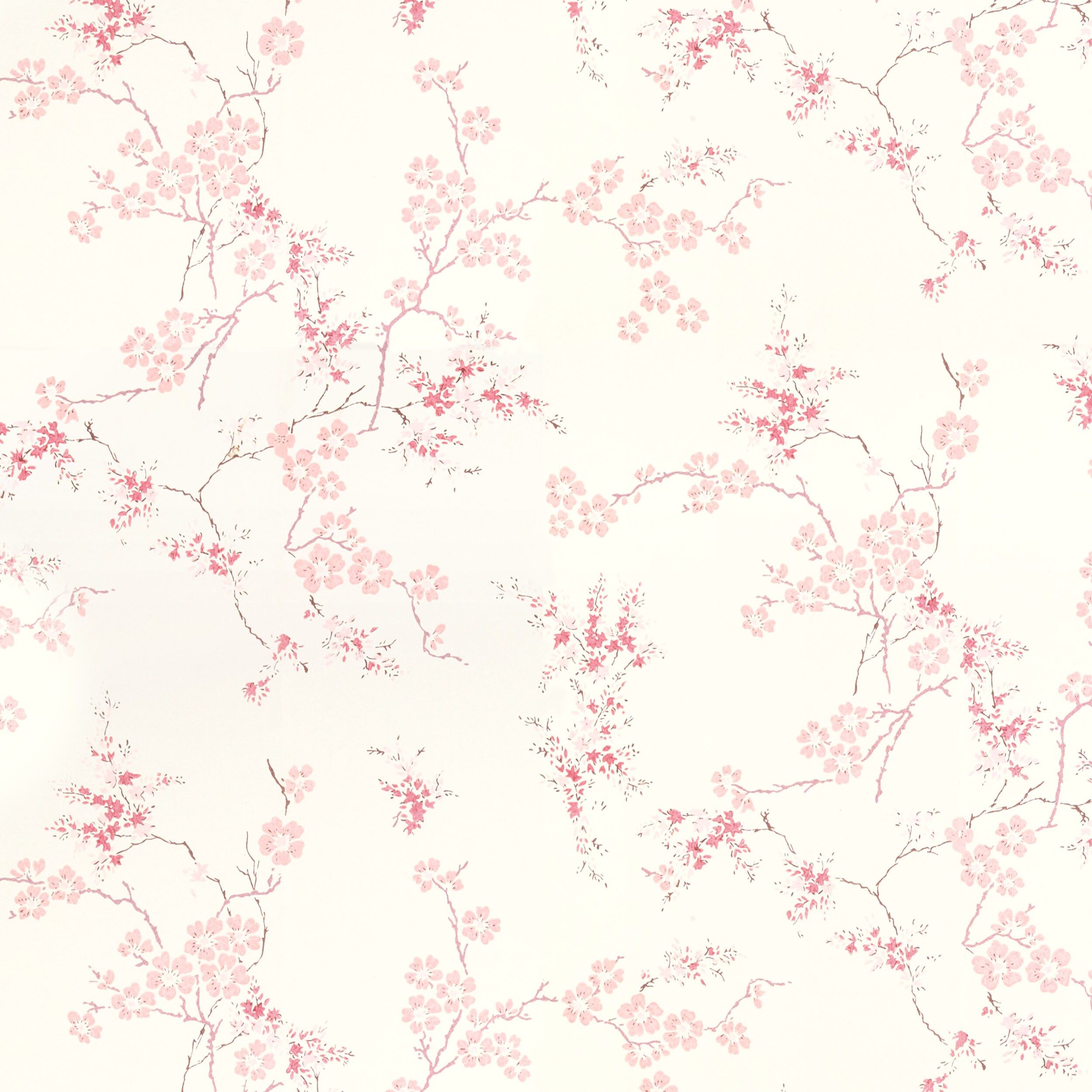 Oriental Blossom Off White Blush Paste The Wall Wallpaper