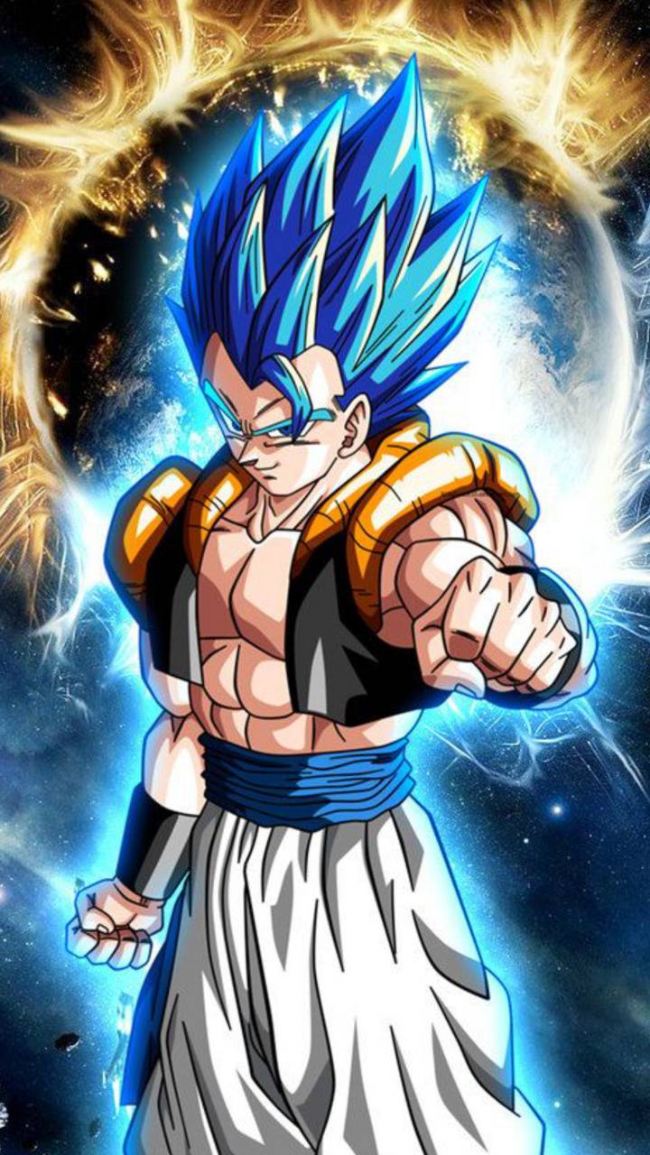 Gogeta SSJ Blue Wallpaper by Dielissart