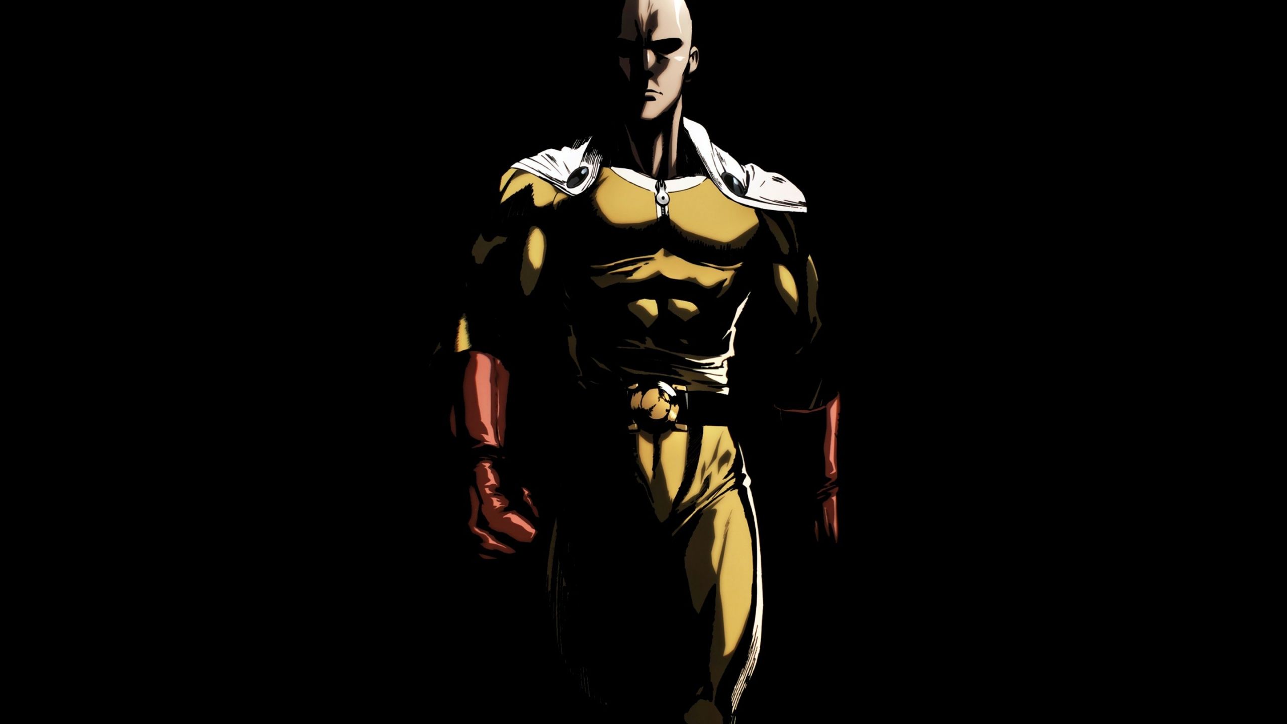 Download 2560x1440 Wallpaper Anime, Saitama, One Punch Man, Dual