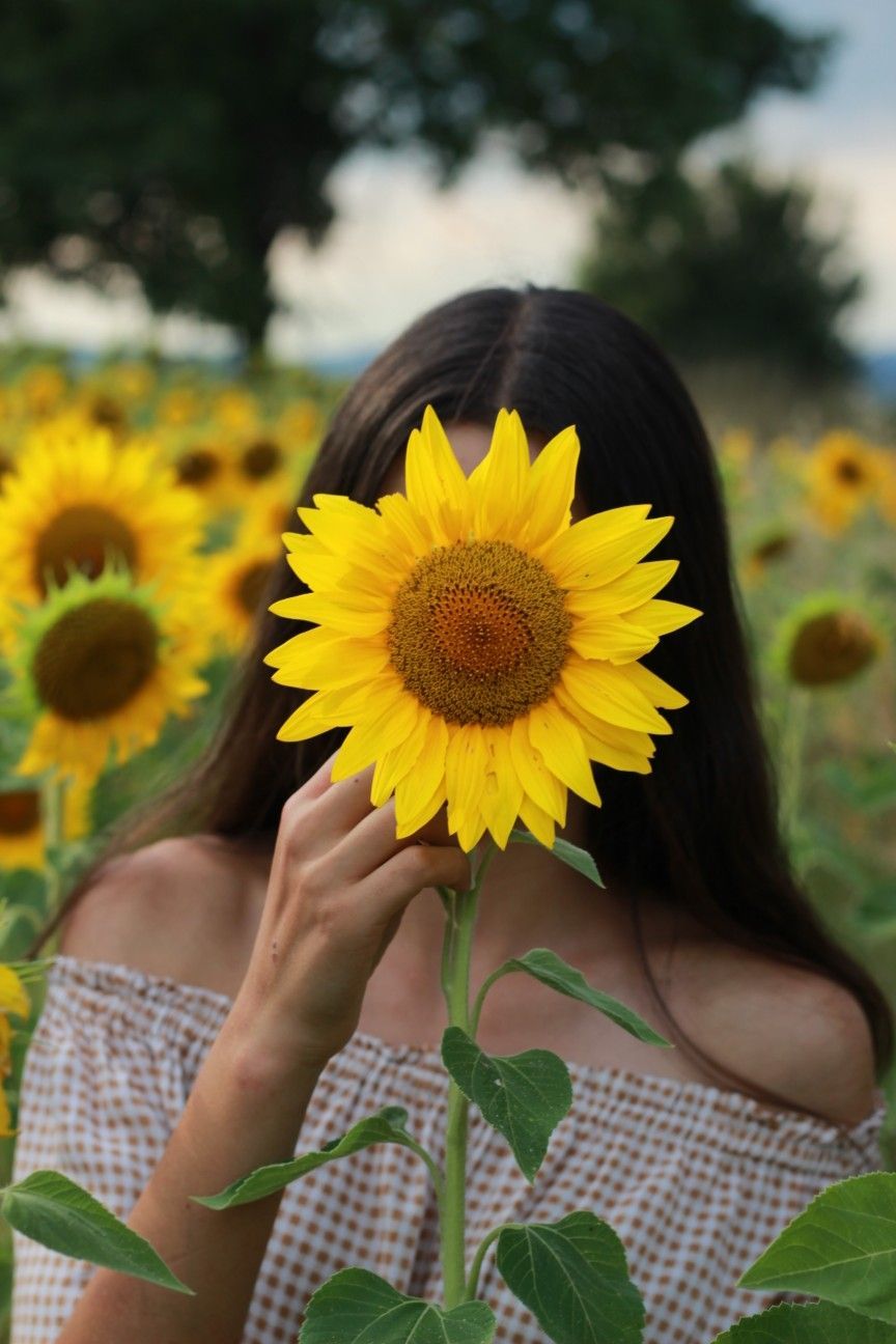 Faceless sunflower girl aesthetic