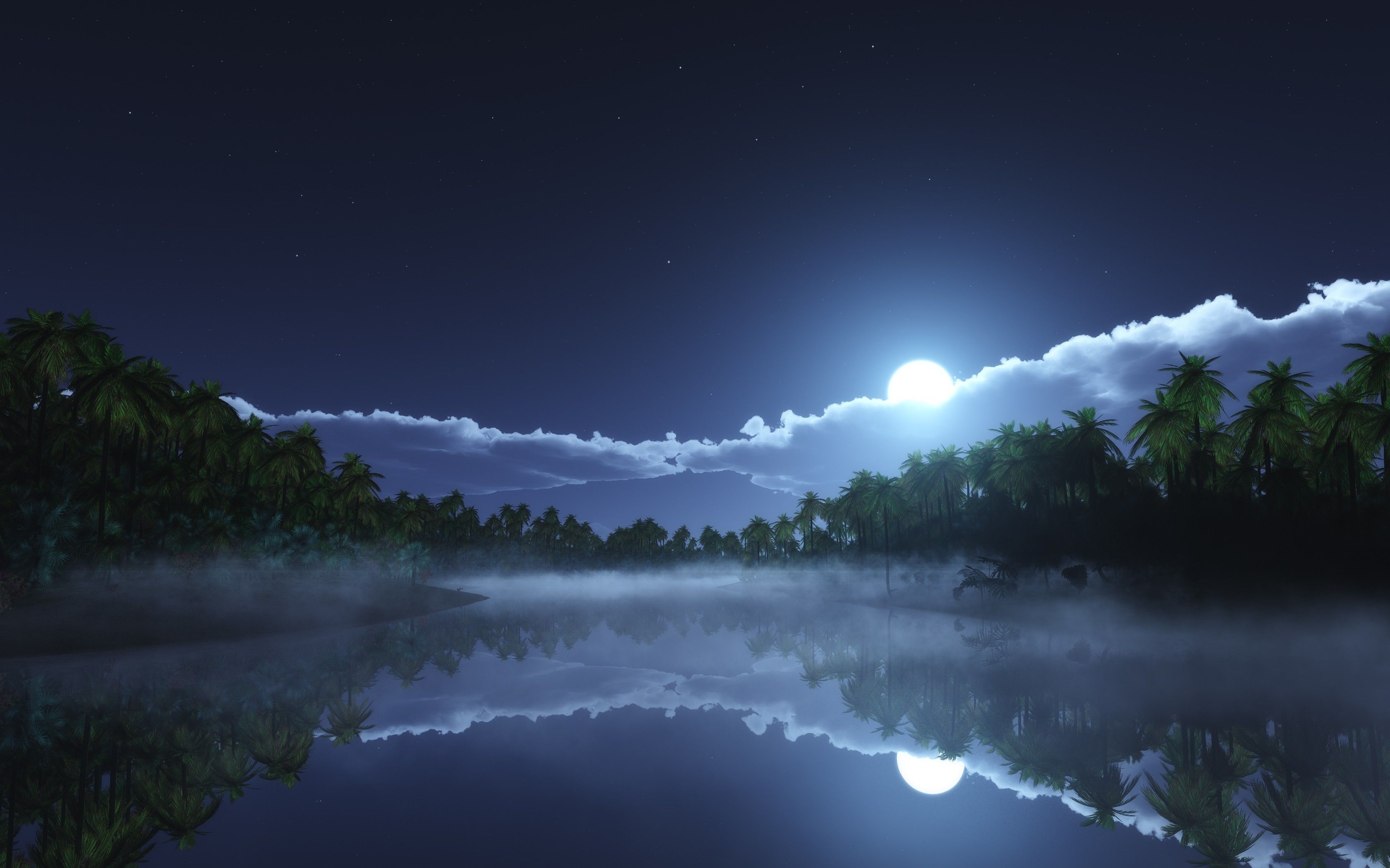 nature, Landscape, Starry Night, Moonlight, Clouds, Tropical, Mist, Palm Trees, Lake, Reflection Wallpaper HD / Desktop and Mobile Background