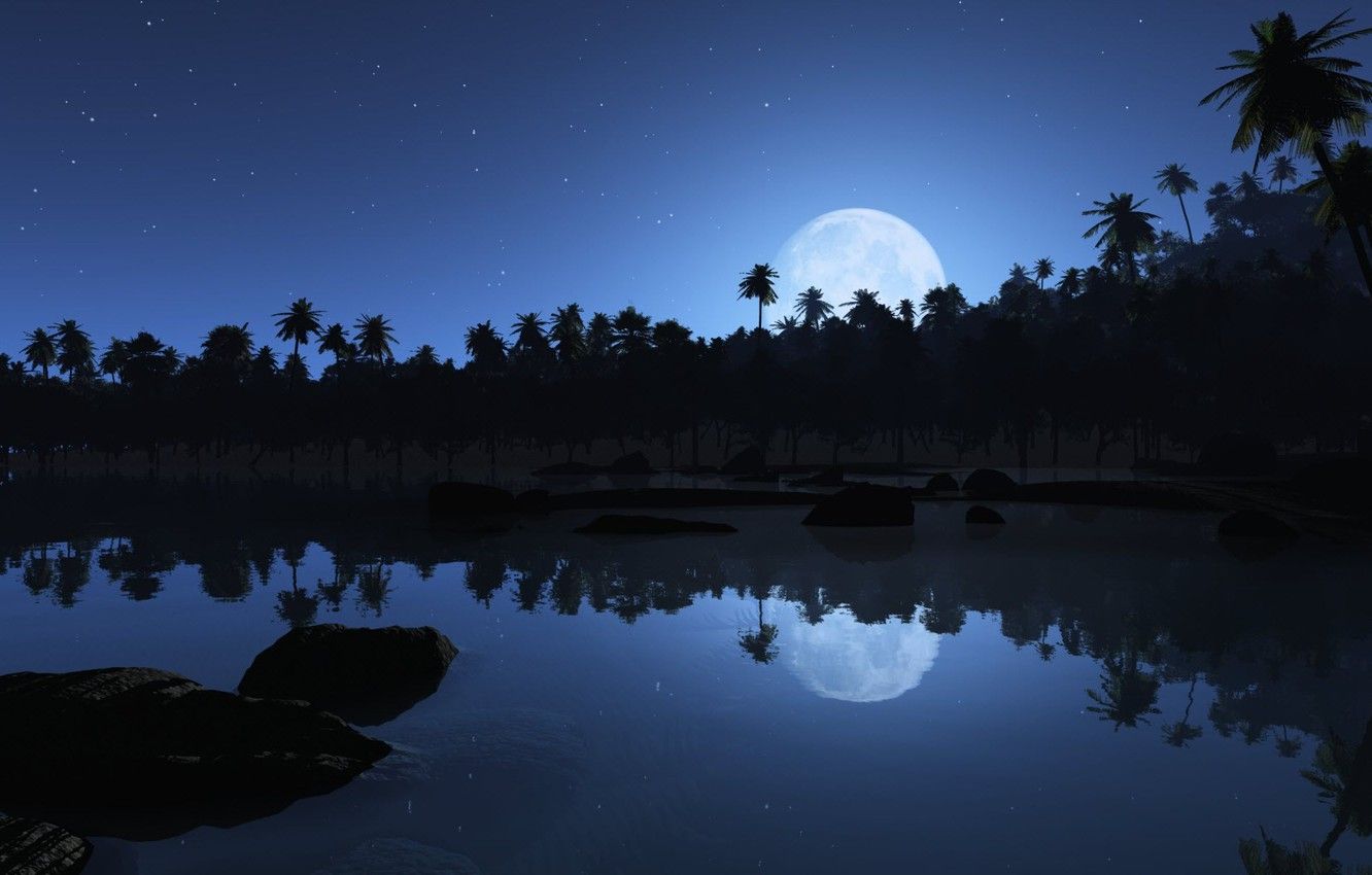Wallpaper stars, reflection, the moon, Palm trees image for desktop, section природа