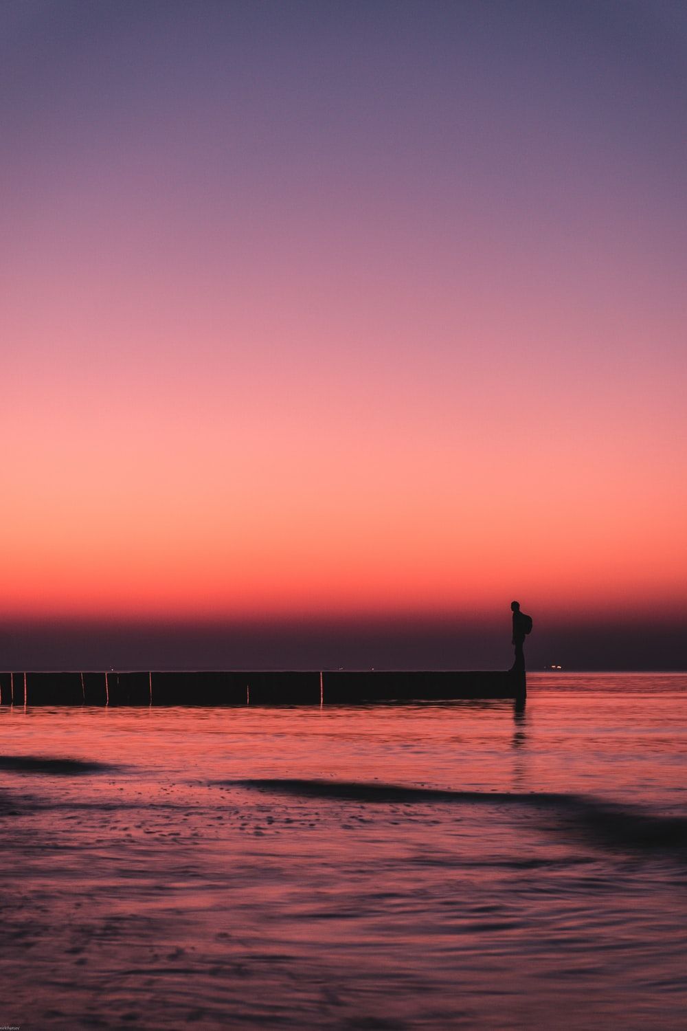 person standing on dock photo