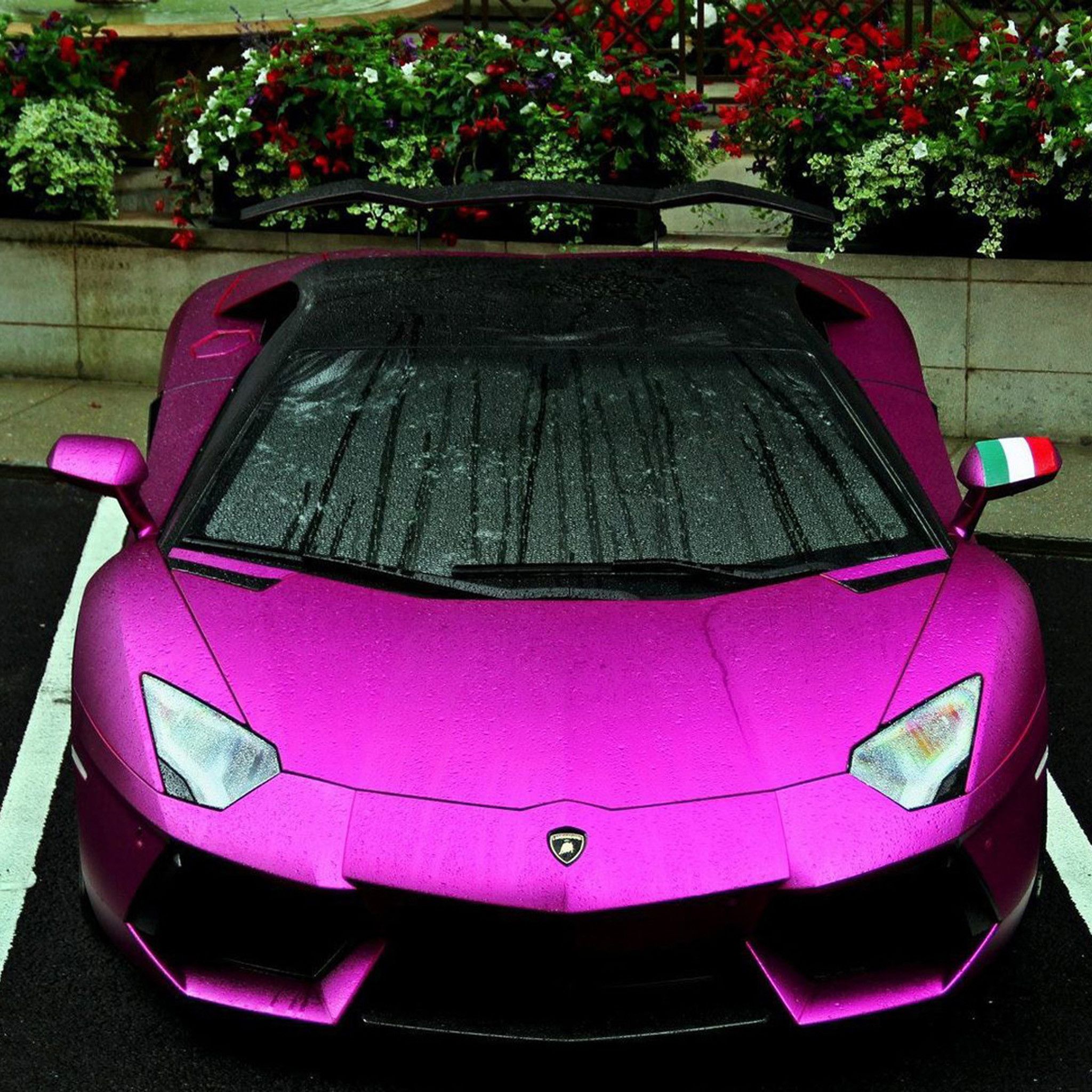 Pink lamborghini, iPhone, Desktop HD Background