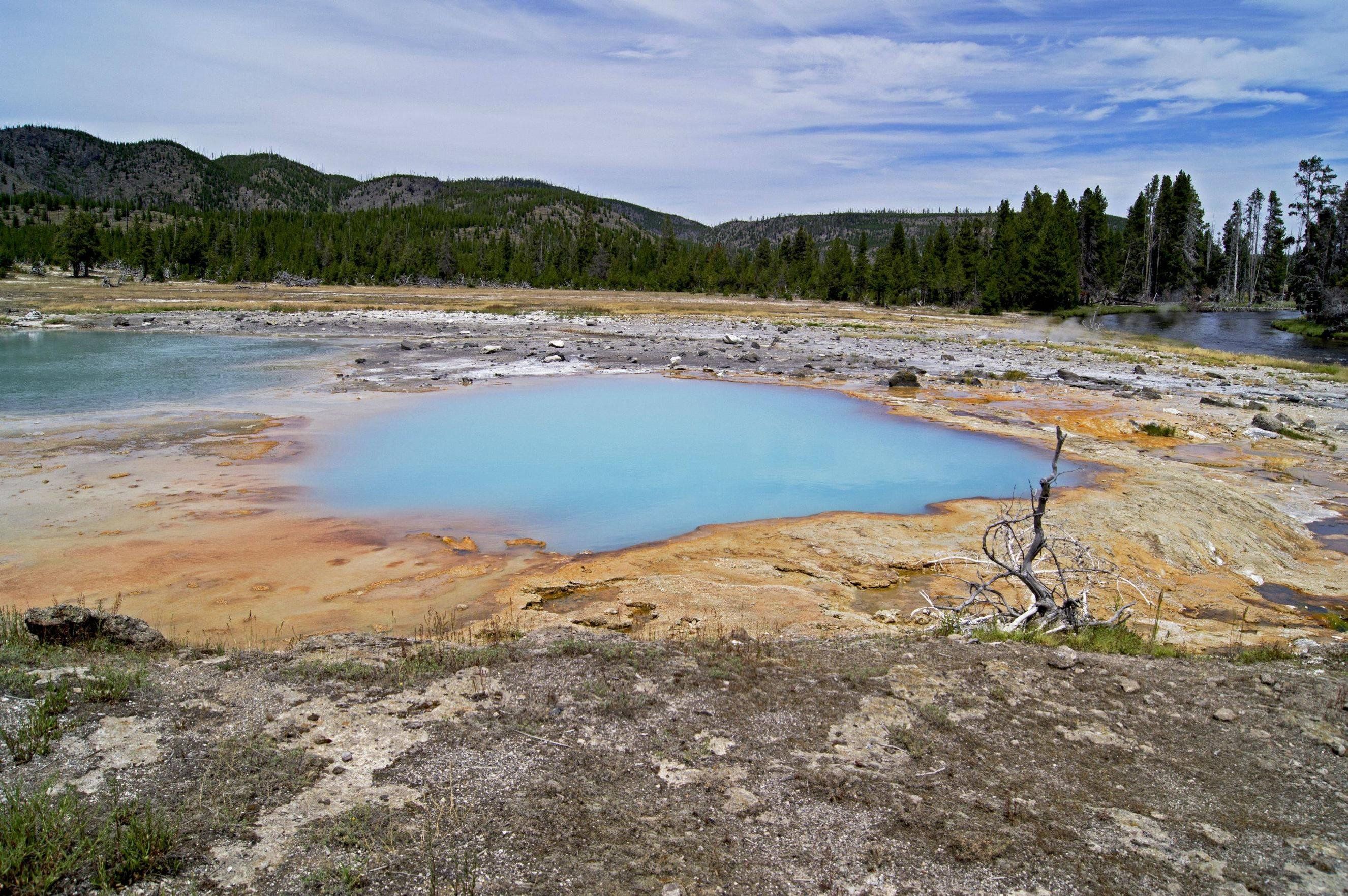 of Spring 4K wallpaper for your desktop or mobile screen