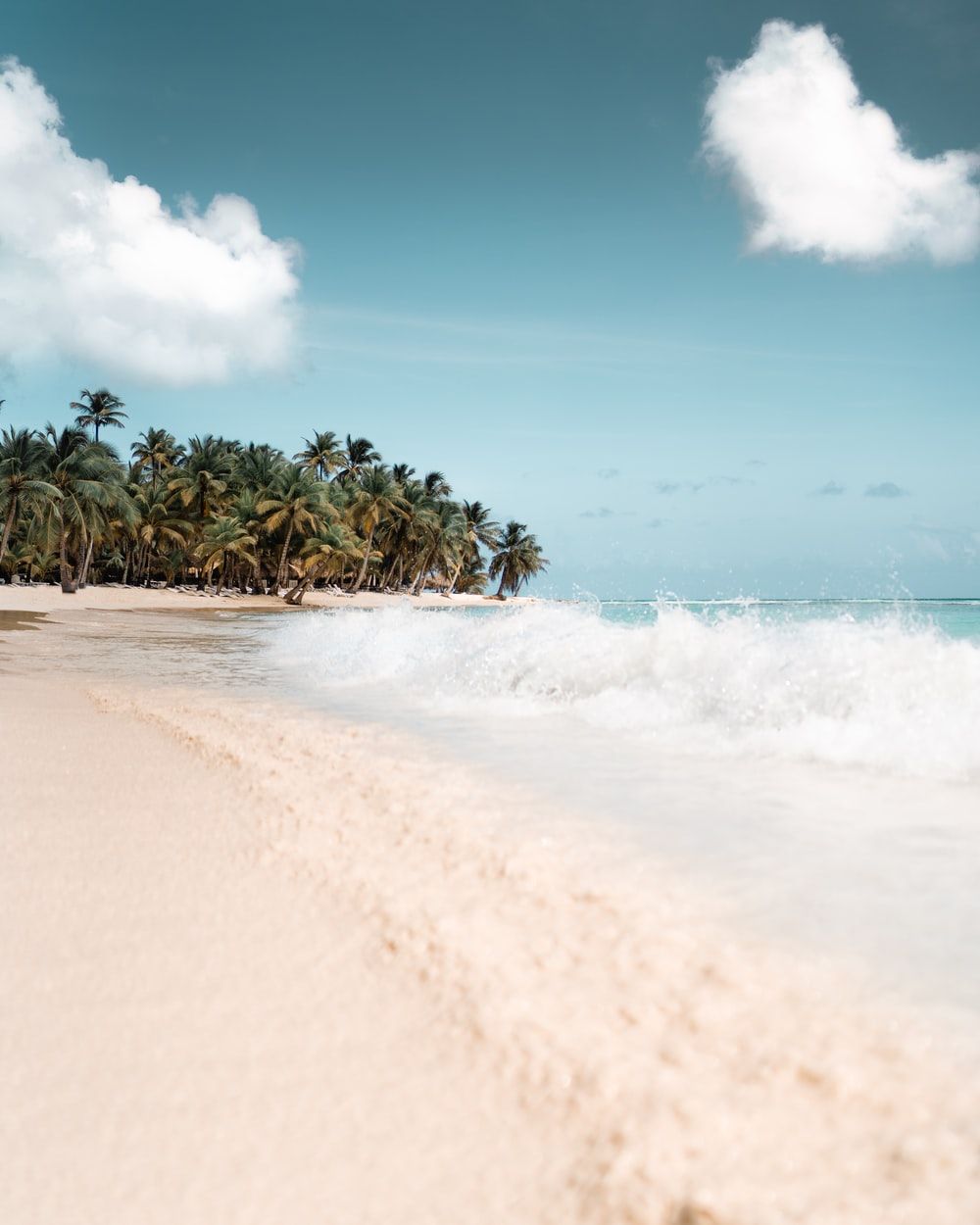 Best Caribbean Picture [HD]. Download Free Image & Stock