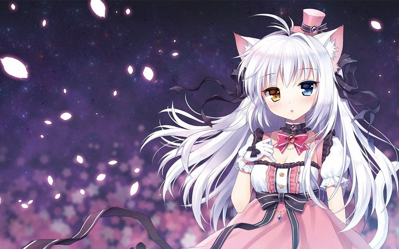 Free download 1920x1080 Anime Cat Girl Wallpaper 34 Wallpaper