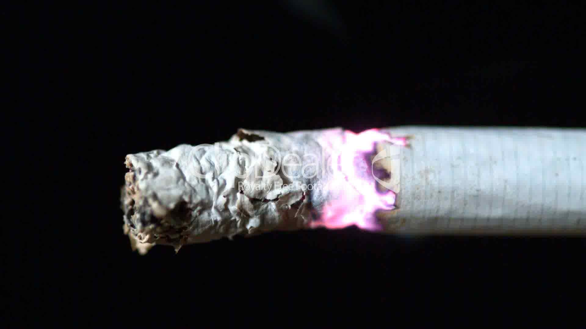 Cigarette Burning On Black Background Close Up: Royalty Free Video