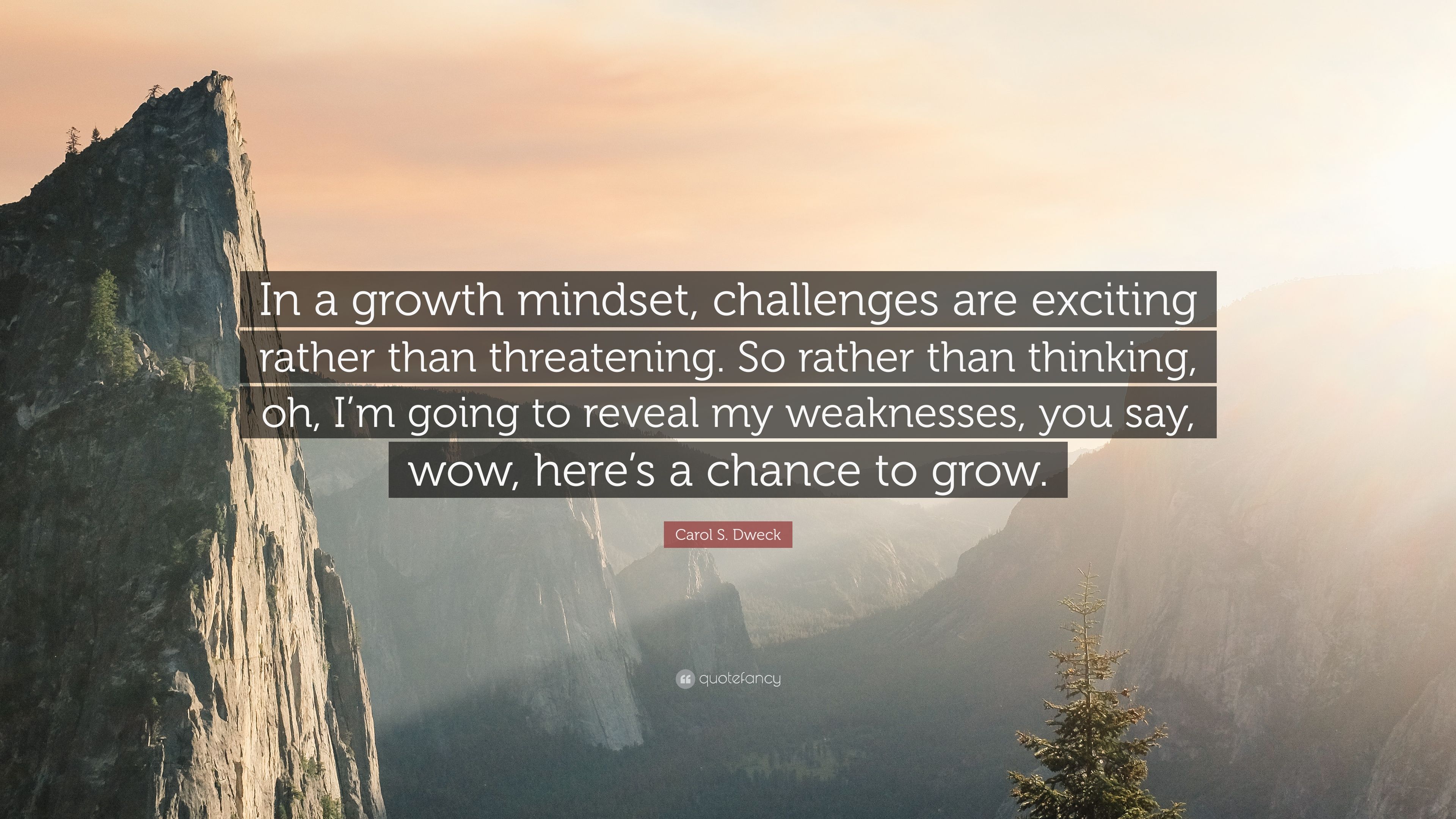 Carol S. Dweck Quote: “In a growth mindset, challenges are