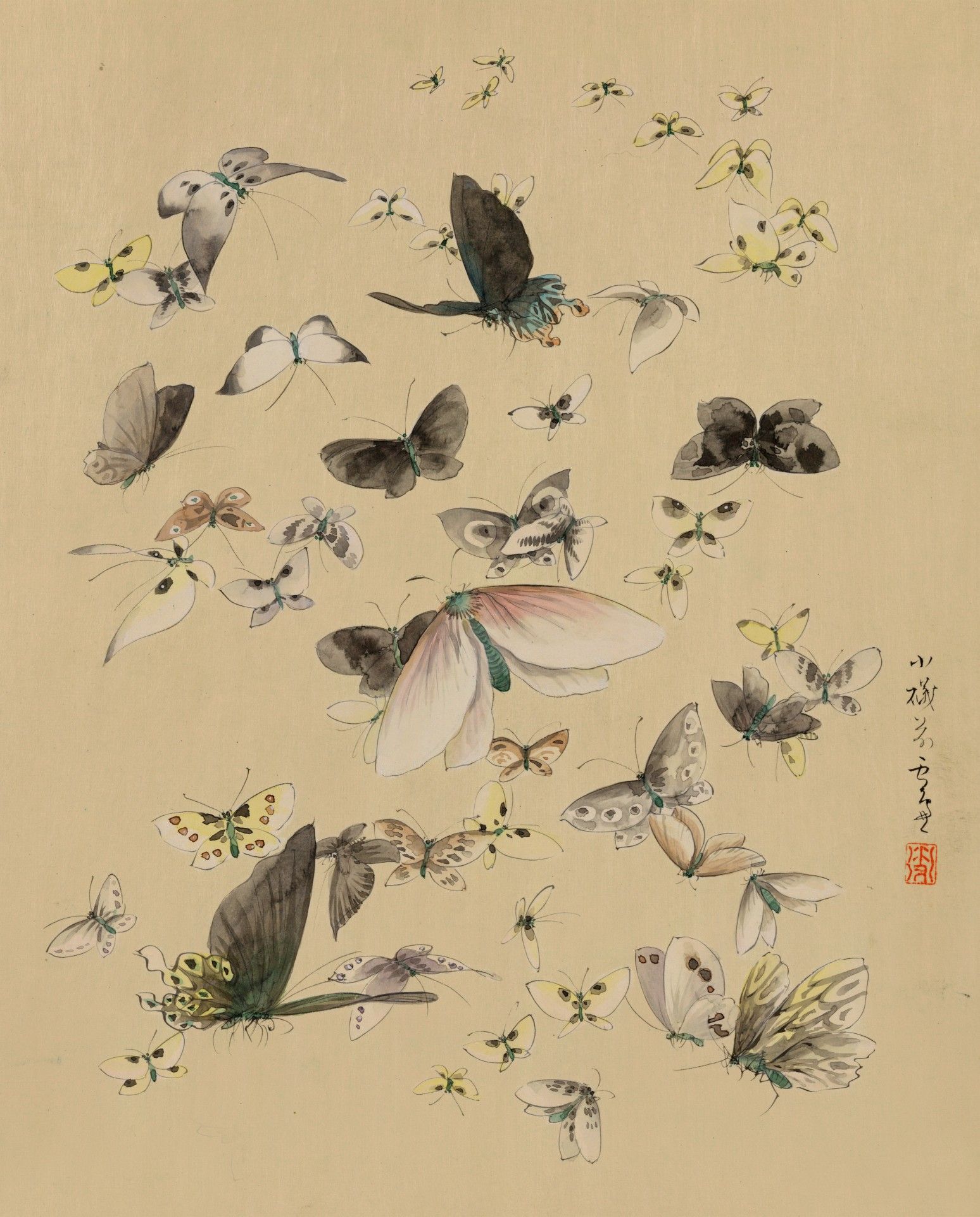 Butterflies And Moths Wallpapers - Wallpaper Cave