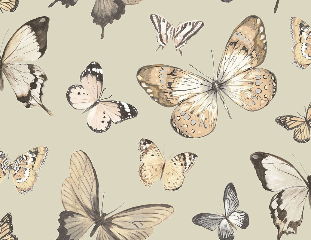 Butterflies And Moths Wallpapers - Wallpaper Cave