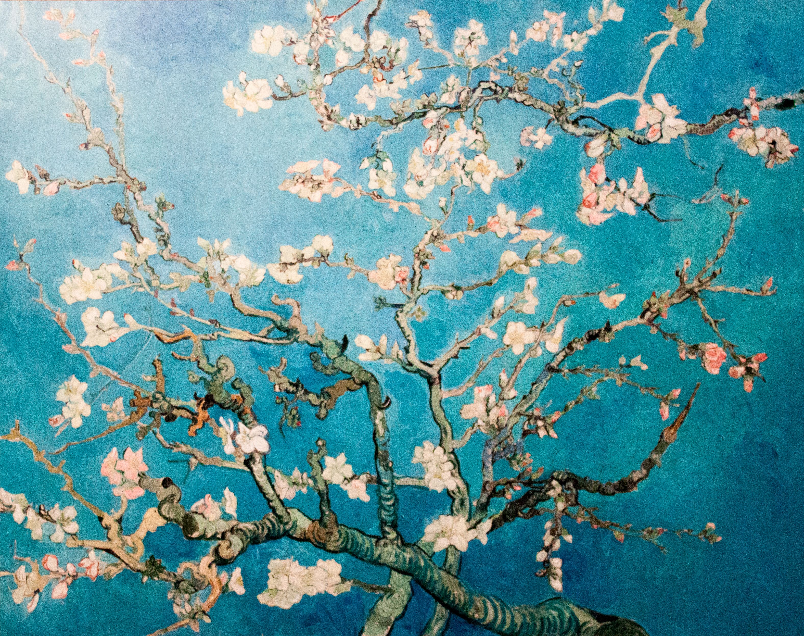Blossoming Almond Tree (JH 1891)