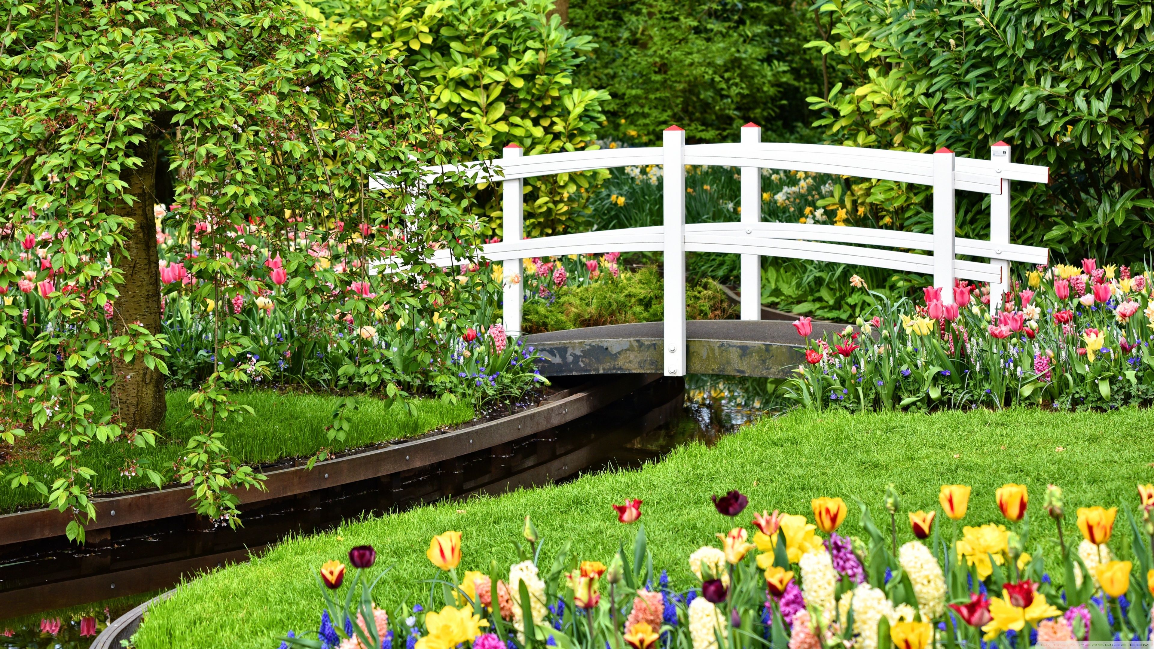 Small Garden Pond with Bridge, Spring Flowers Ultra HD Desktop