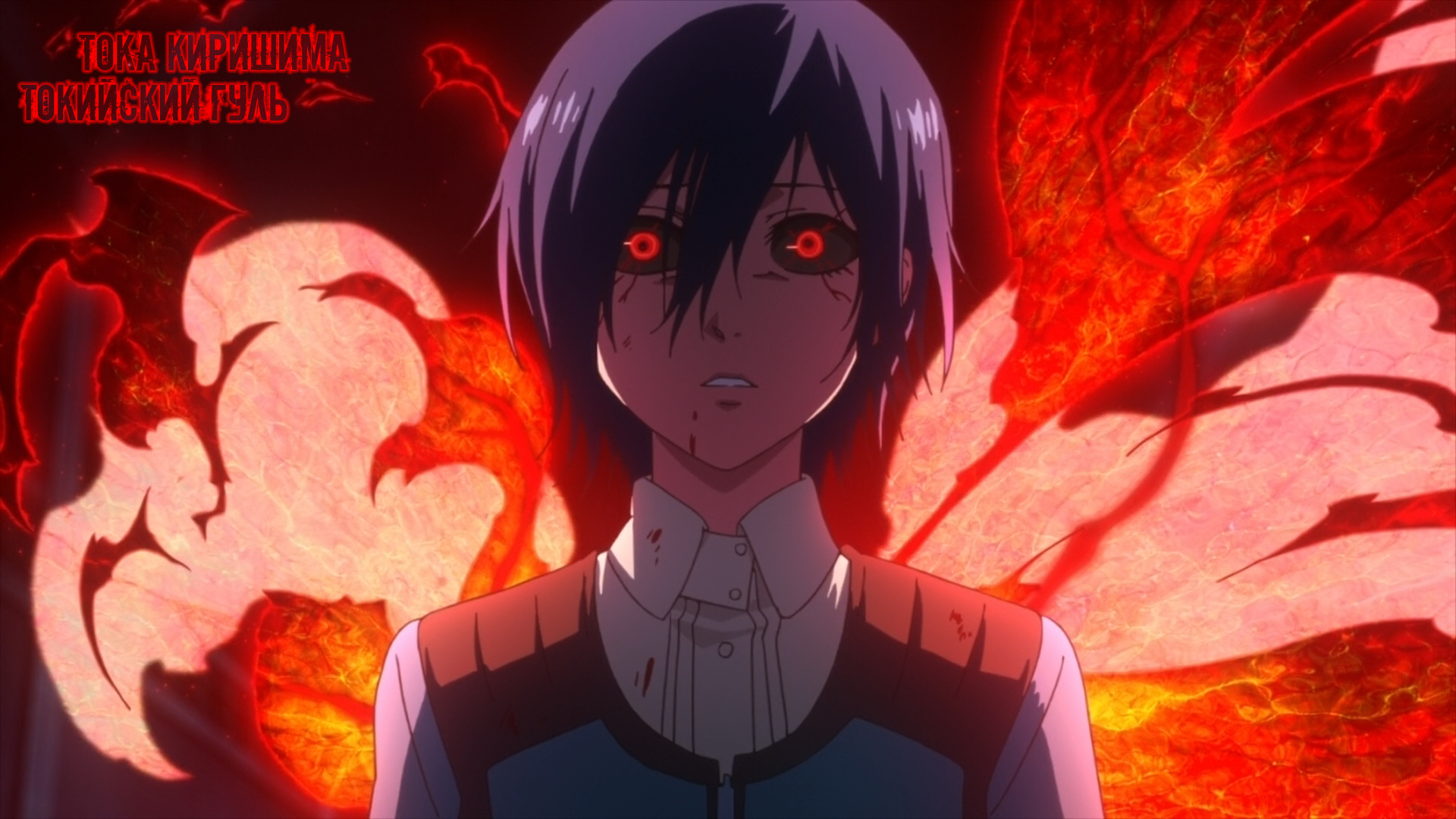Touka Kirishima Anime Wallpaper Free Touka Kirishima Anime