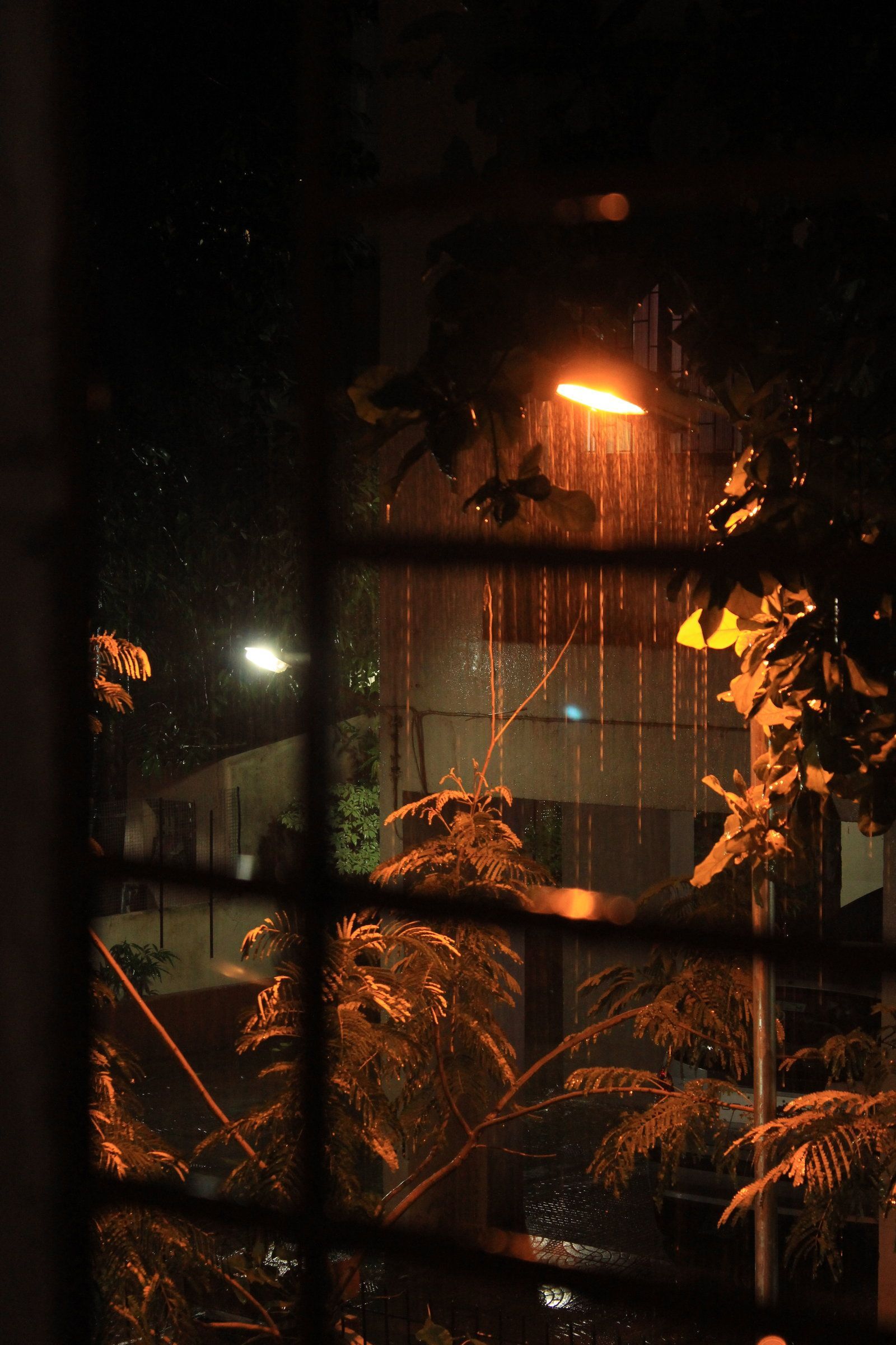 Outside the window on a rainy night.. Rainy night, Night