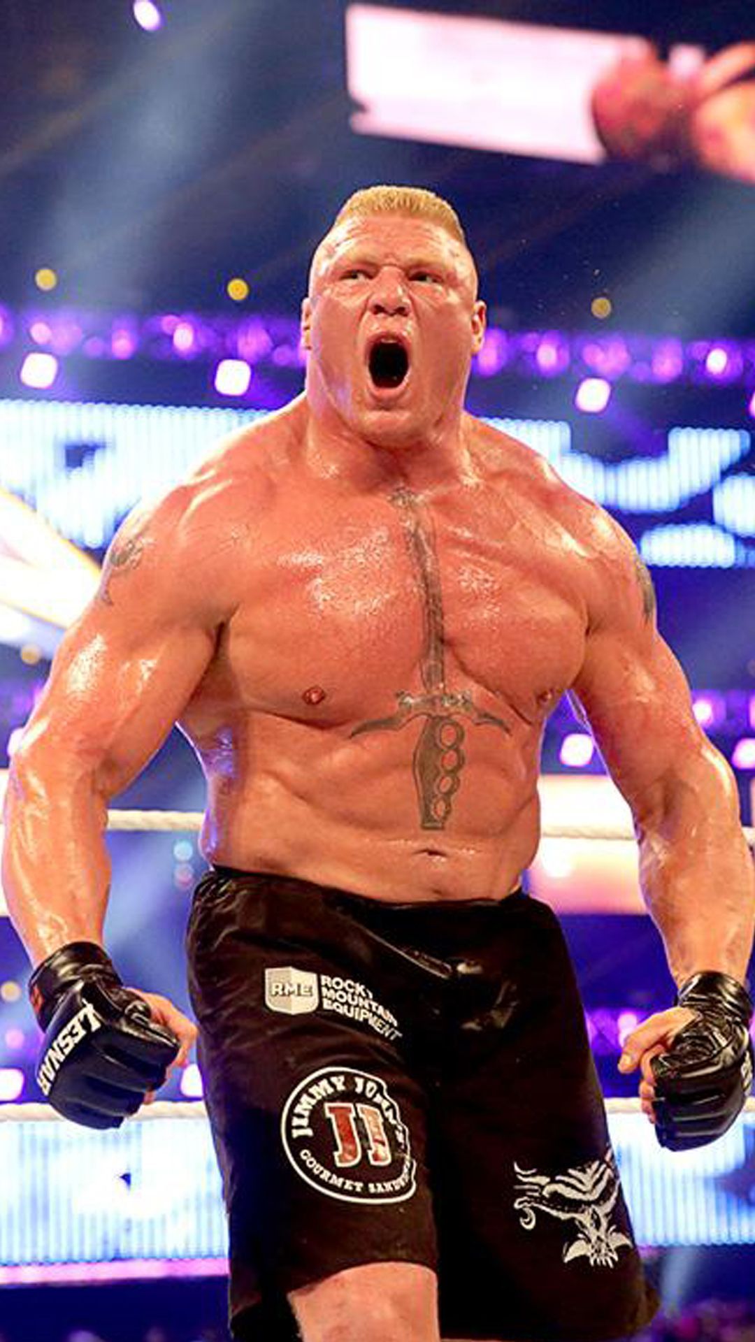 Brock Lesnar Wwe Background Image > Flip Wallpaper > Download