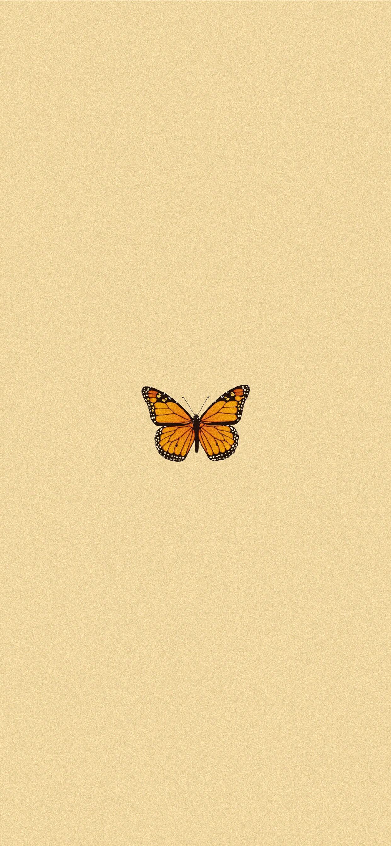 Aesthetic Butterfly iPhone Wallpapers - Wallpaper Cave