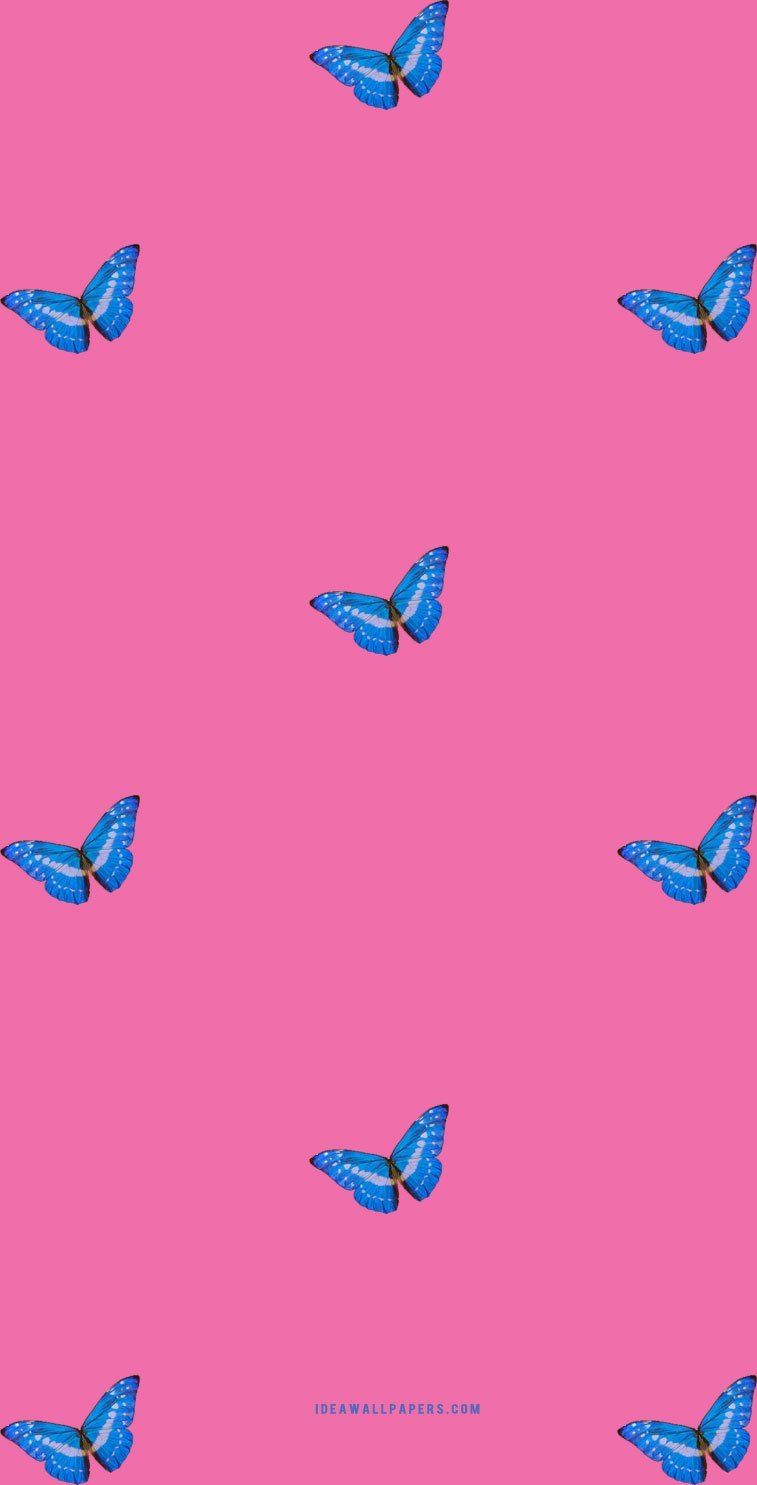 Butterfly on pink background Wallpaper, iPhone Wallpaper