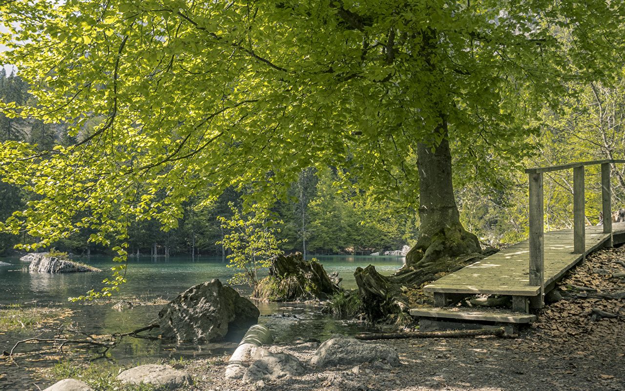 Desktop Wallpaper France Lake Vert Nature stone Trees