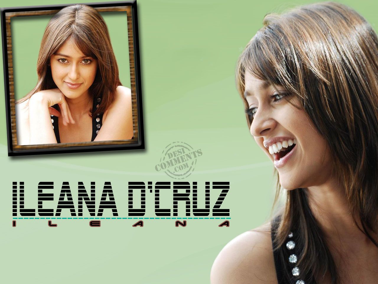 Ileana D'Cruz Wallpaper