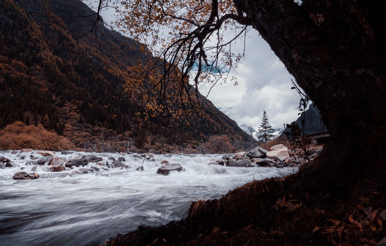 Wallpaper forest, river, trees, water, autumn, mountains, leaves