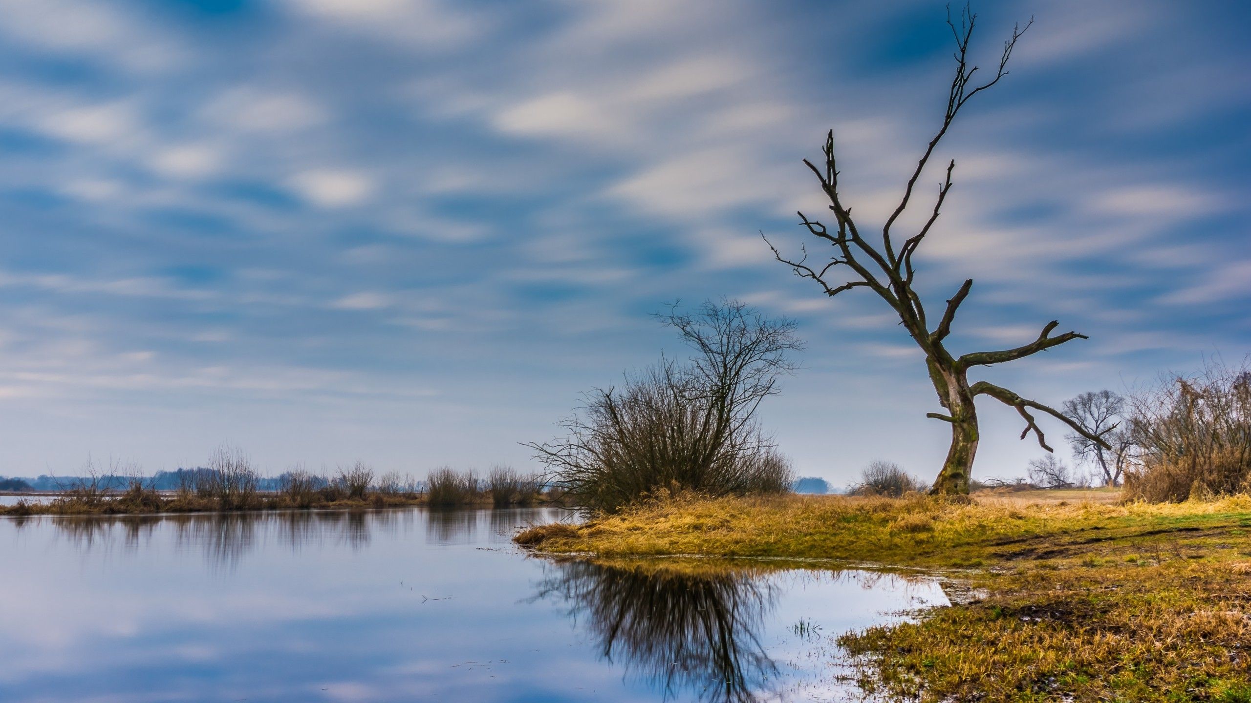 Download 2560x1440 Podlasie, Tree, Reflection, River, Clouds, Sky