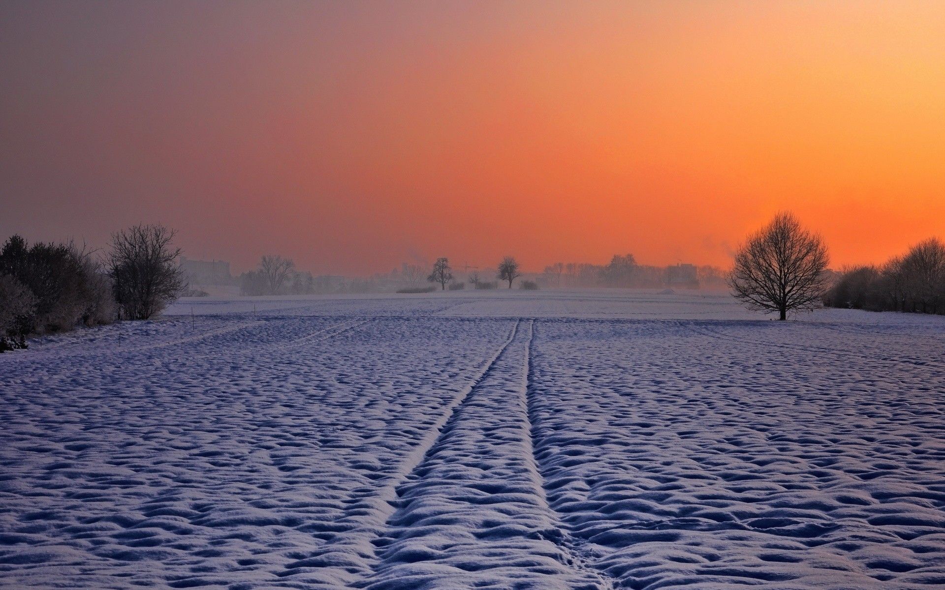 View, High Resolution, Sky, Fields, Trees, Snow, colourful, Nature