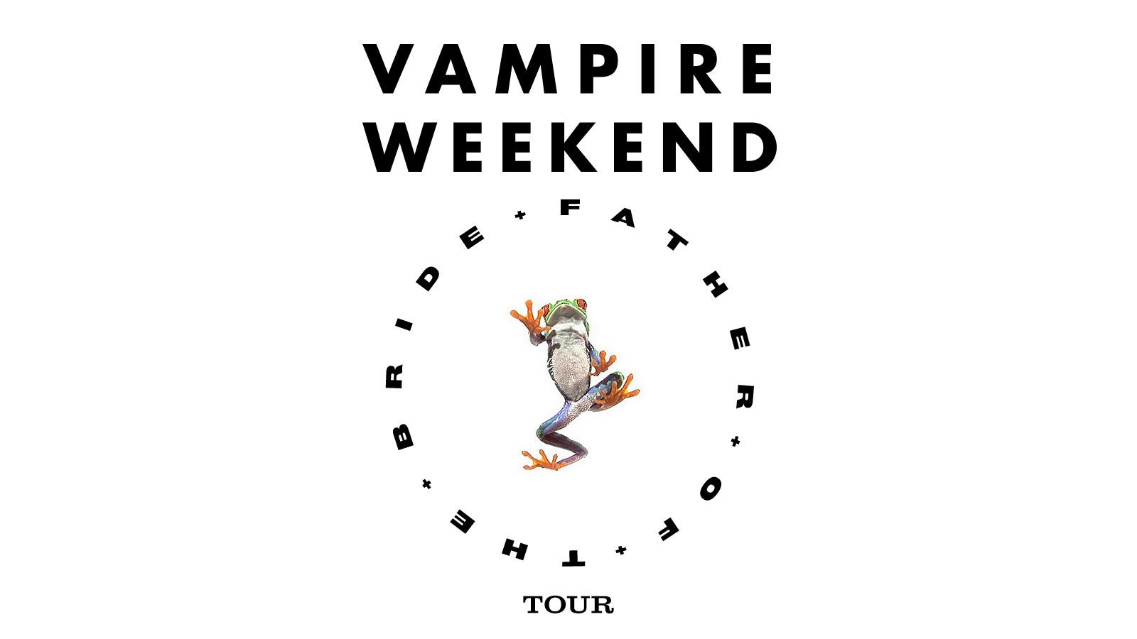 vampire weekend wallpaper ipad