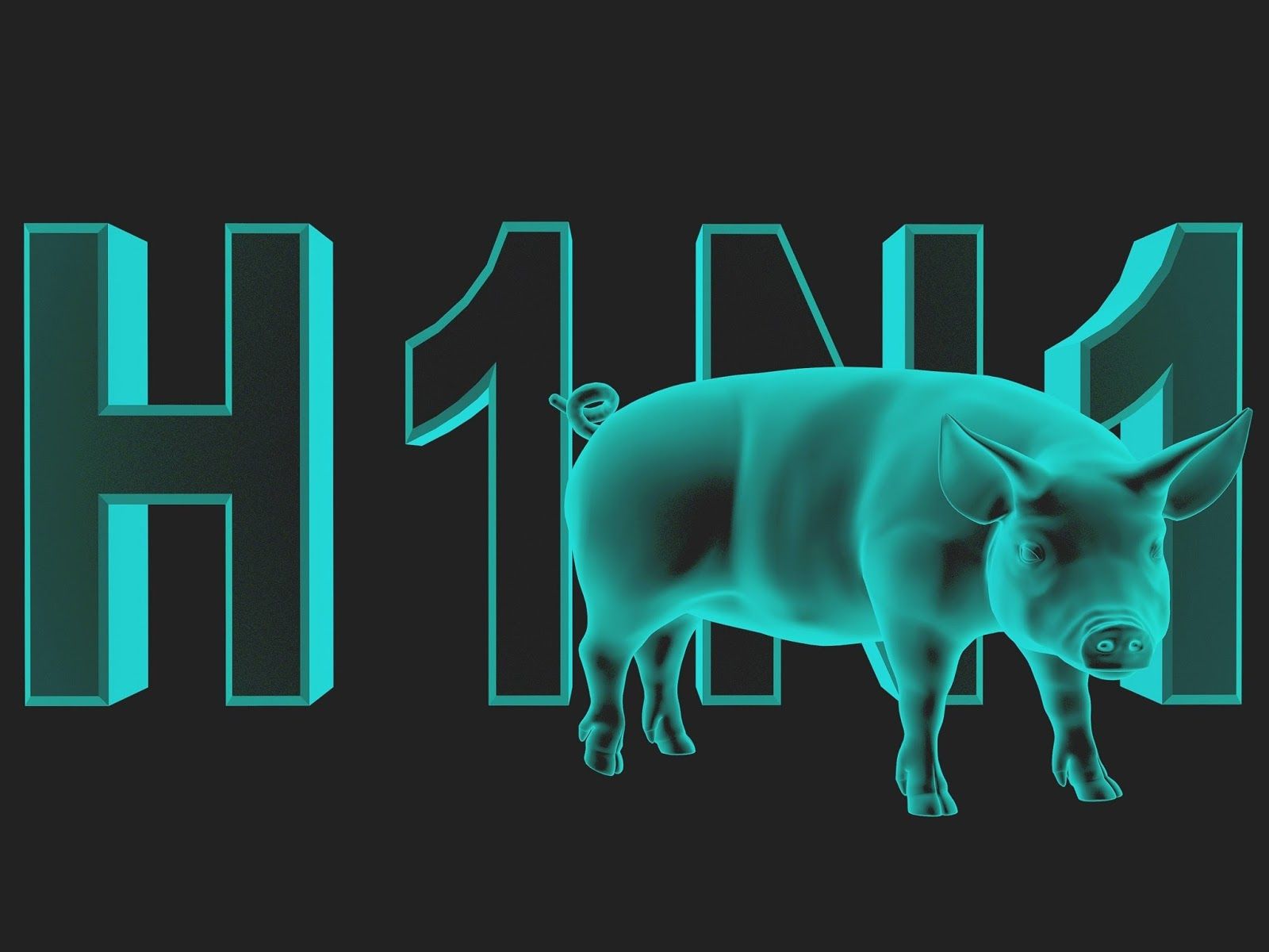 Swine Flu H1N1 cause of KUMACA deaths