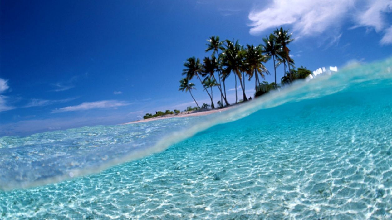 Blue Sky Trees Beach Computer Desktop Wallpaper HD