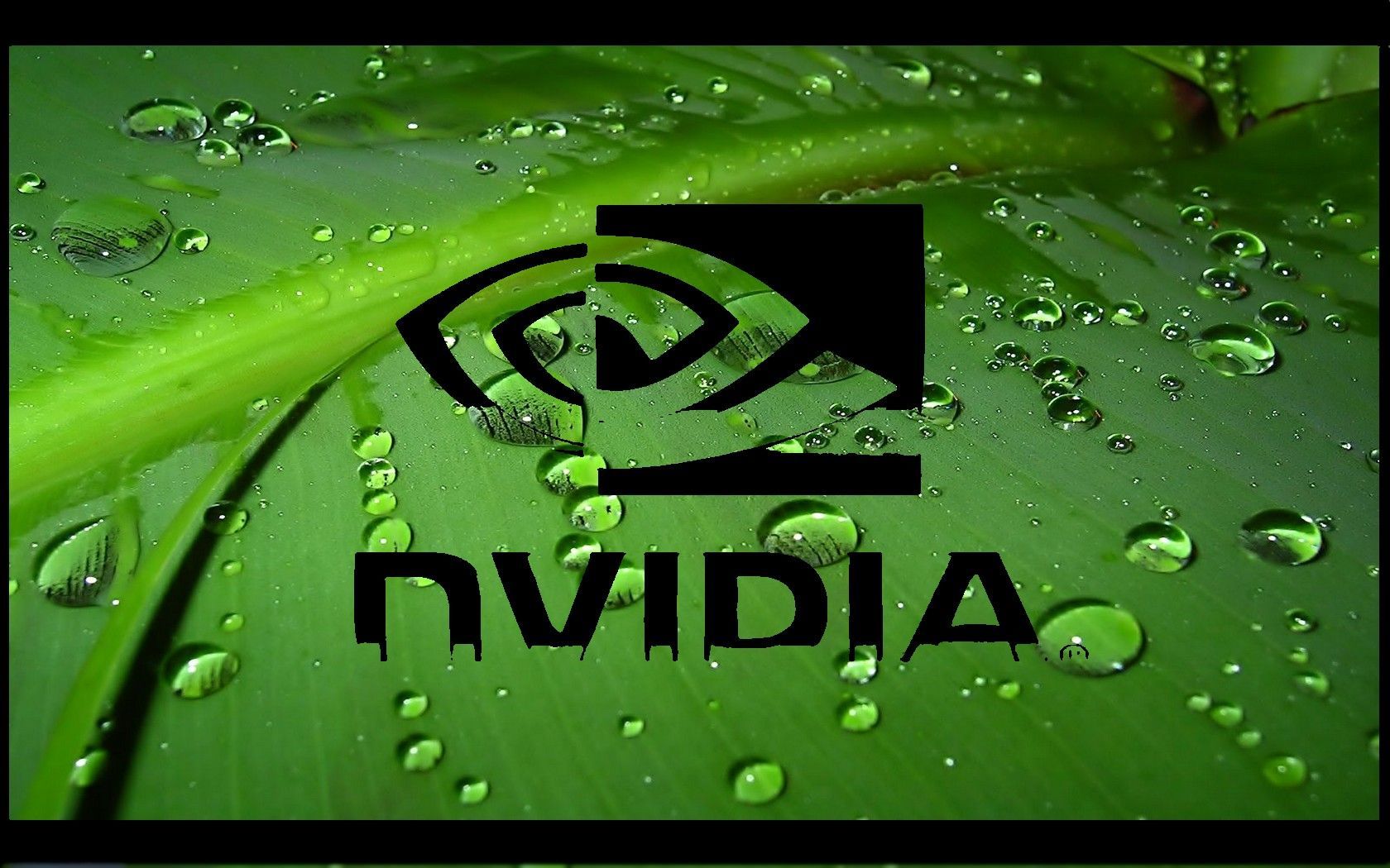 Nvidia 4k Background