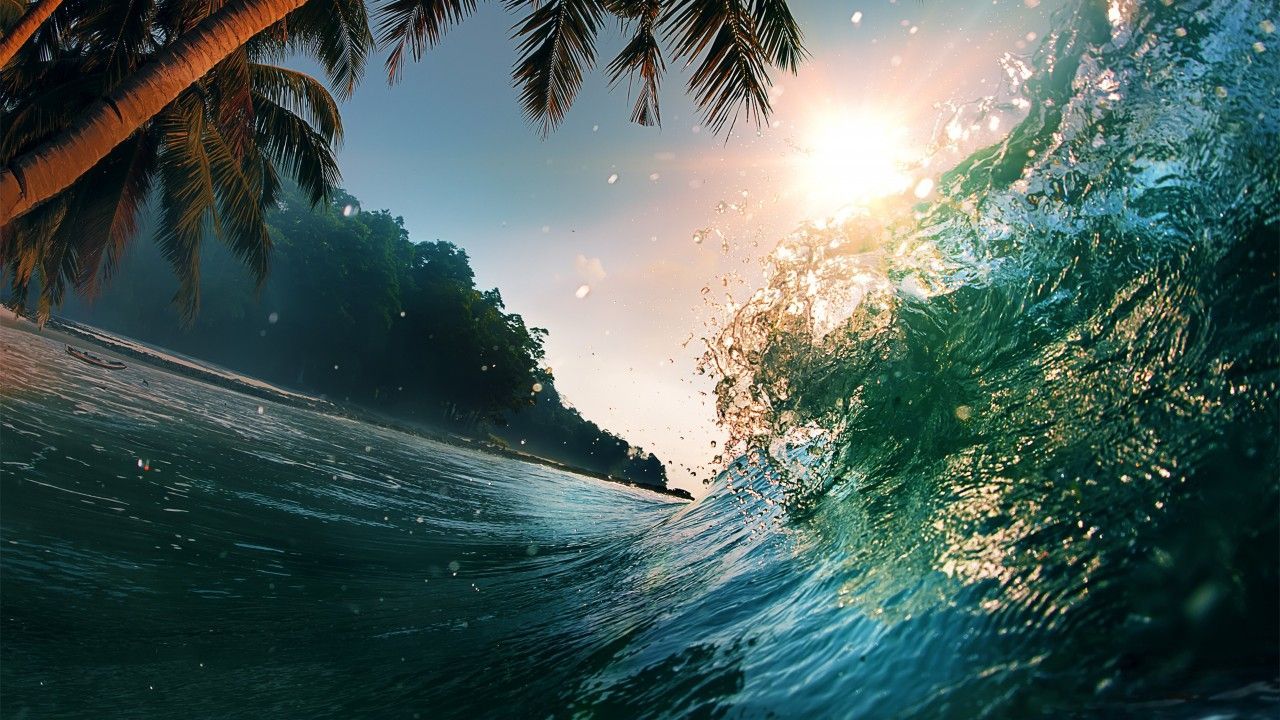Wave, 5k, 4k wallpaper, 8k, ocean, palms, sun (horizontal). Fondo
