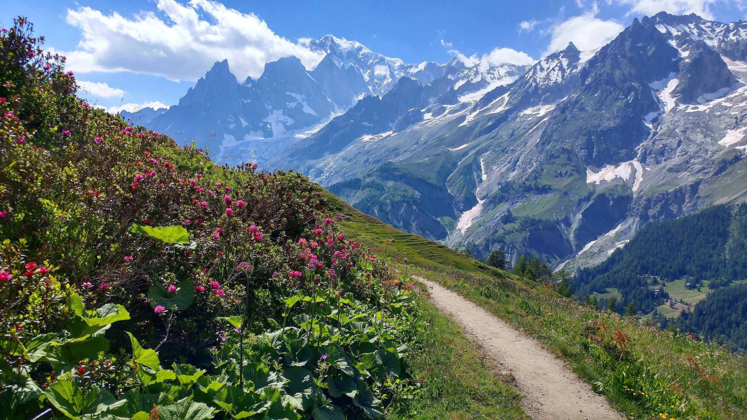 Tour Du Mont Blanc HD wallpaper