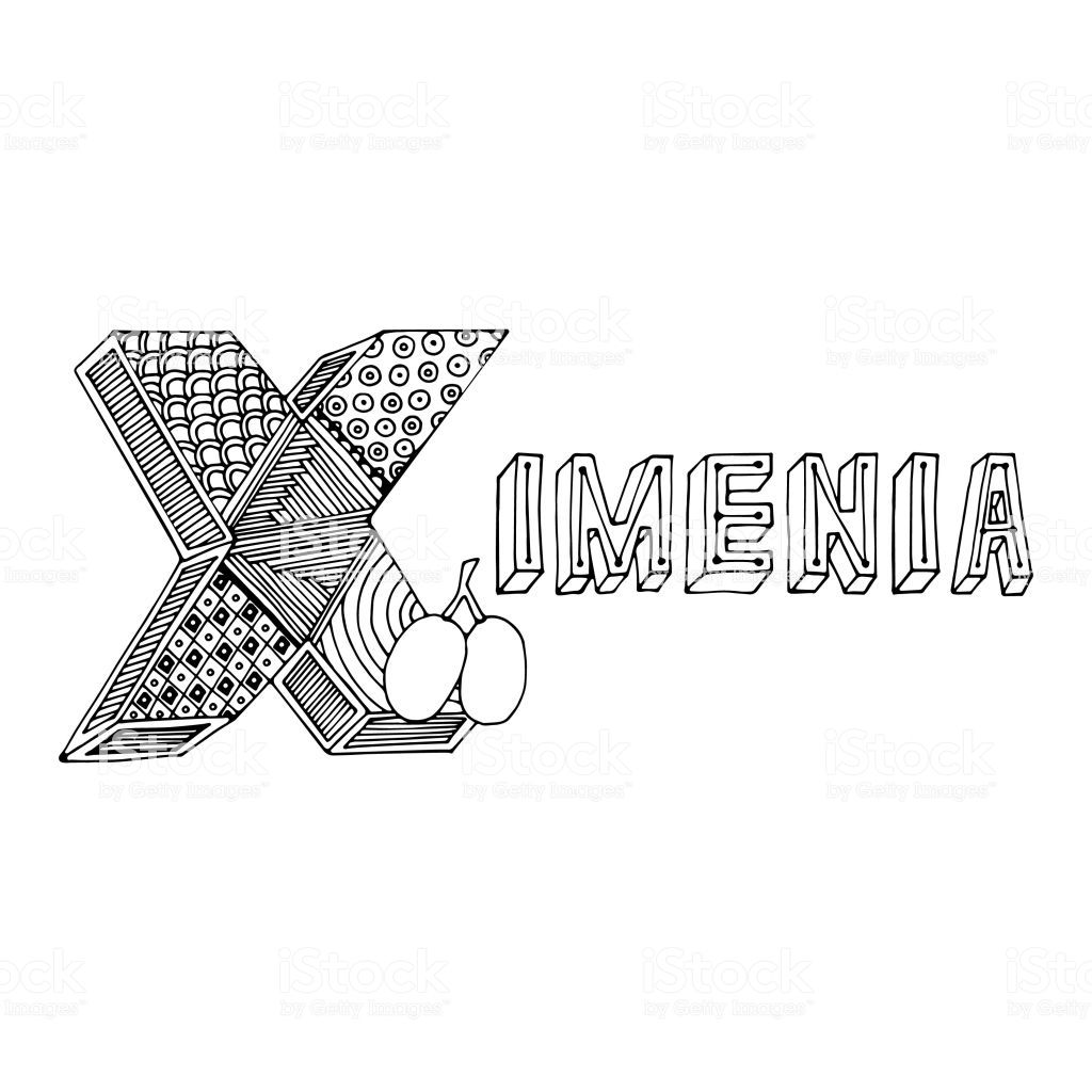 Hand Drawing Ornamented X Letter And Ximenia Simple Black Outline