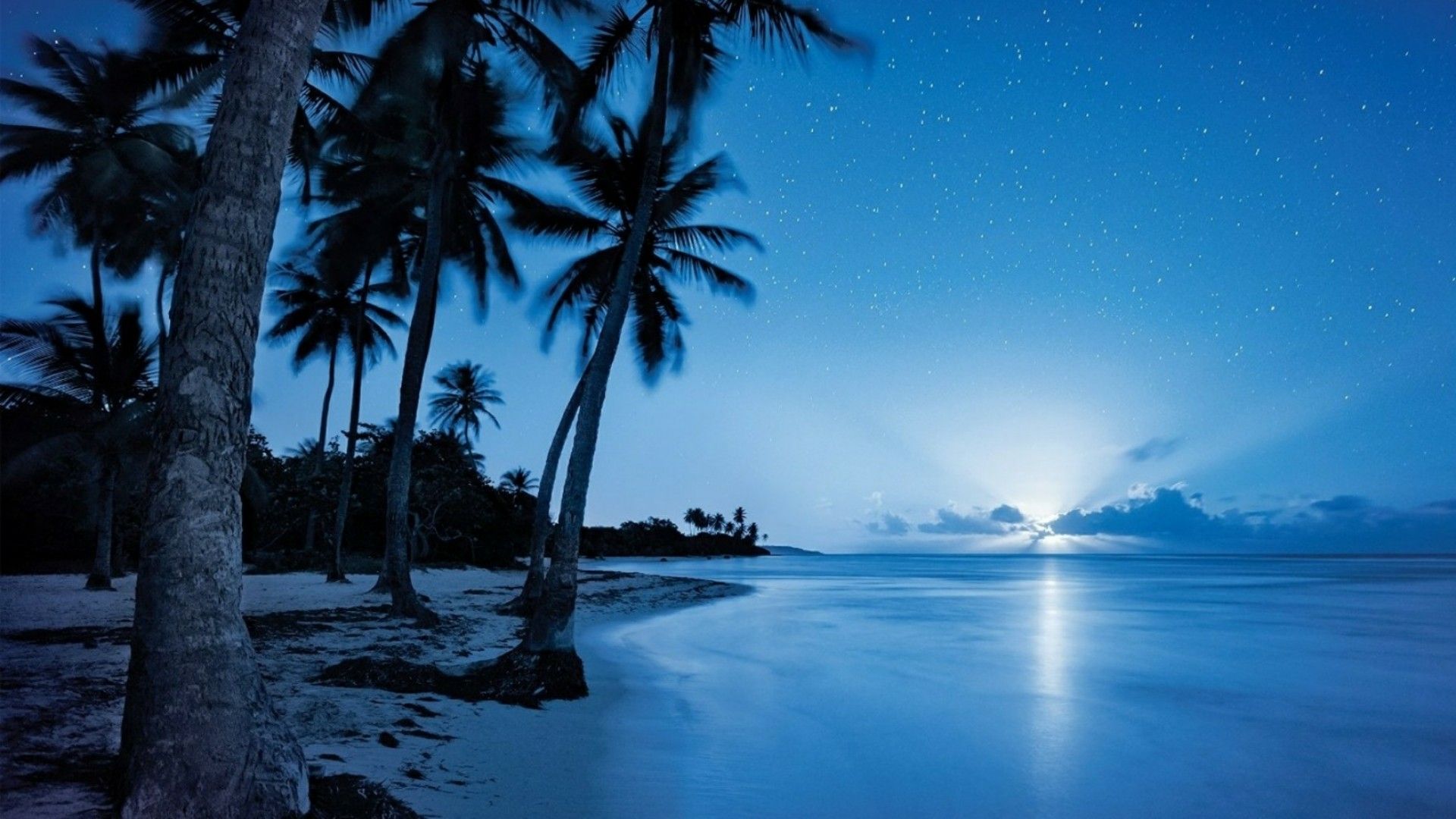 Night Beach Wallpaper