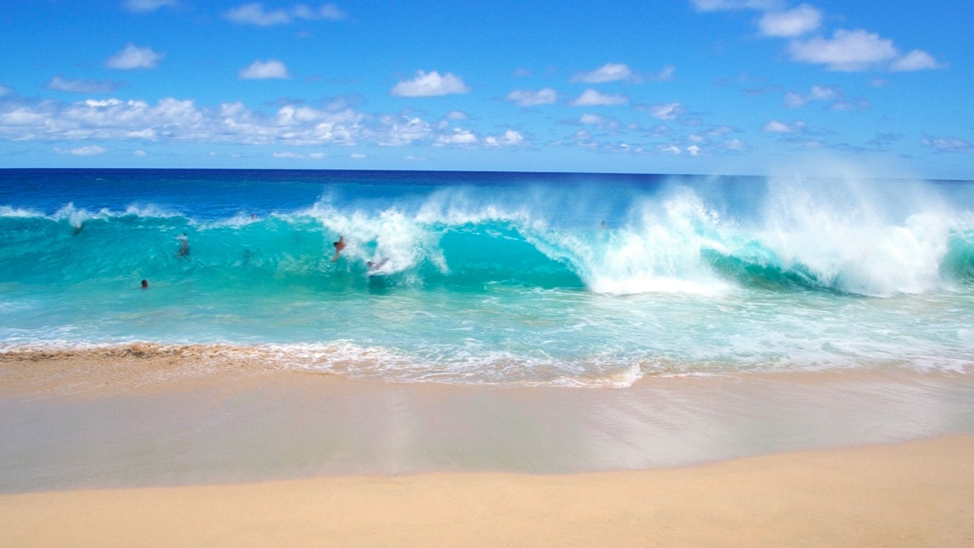 Free download Fun on the playful ocean waves wallpaper Beach