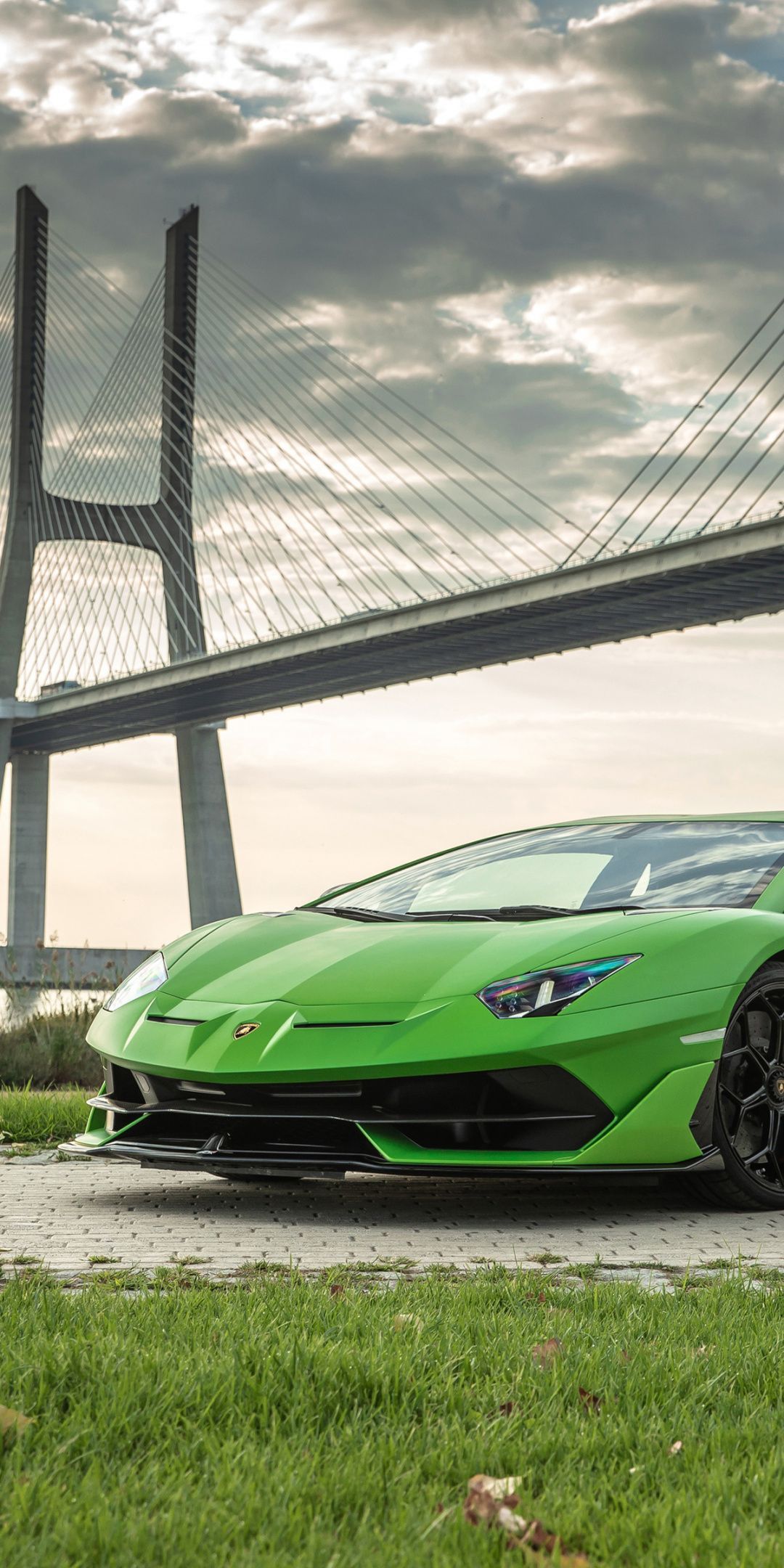 Green, sports car, Lamborghini Aventador SVJ, 1080x2160 wallpaper