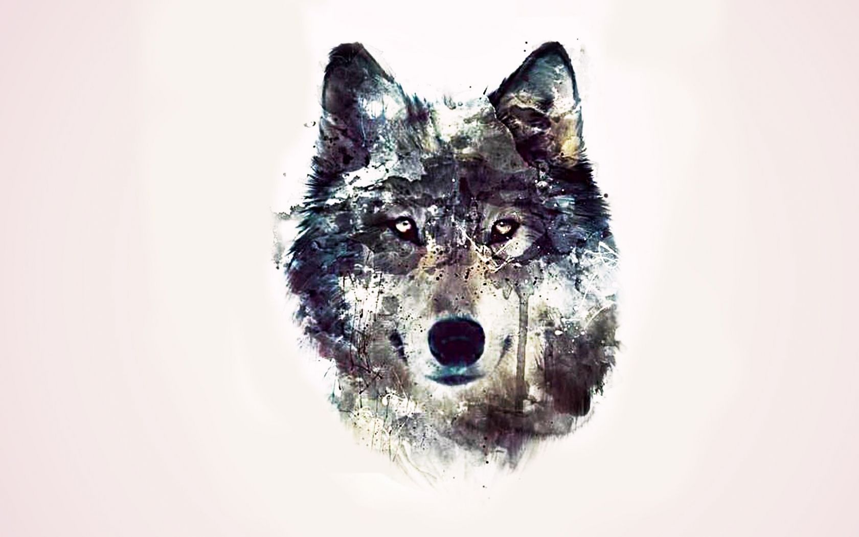 Free download artwork of the wolf Animal Wallpaper Hi