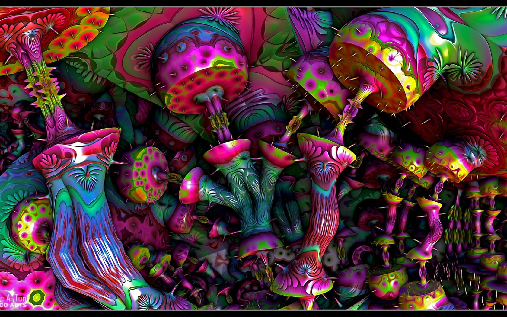 Free download Psychedelic Mushrooms by eccoarts [1920x1080]