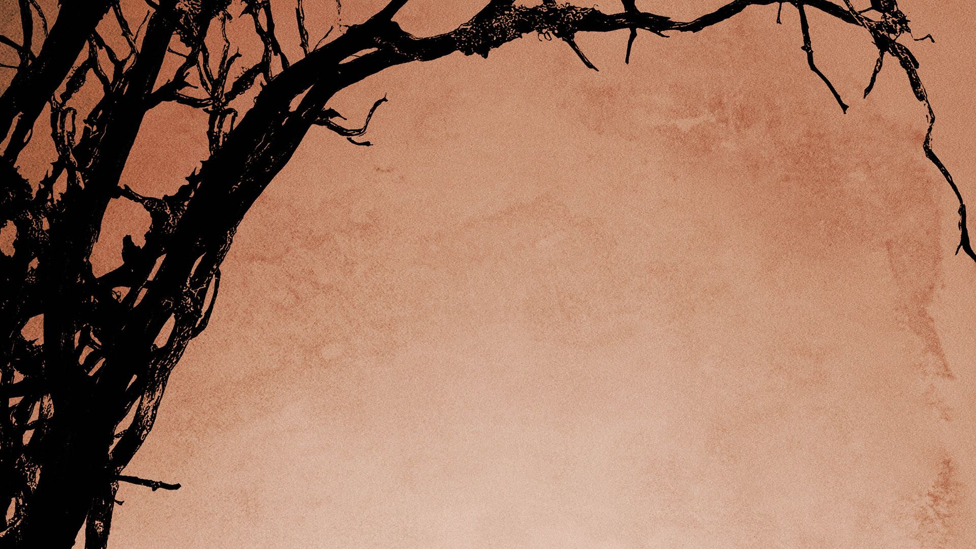 Years a Slave HD Wallpaper