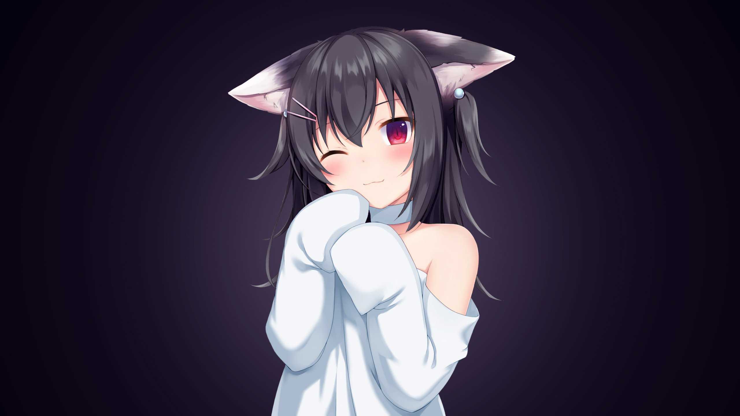Anime Girl Cat Ears 4K HD Wallpaper (2560x1440)